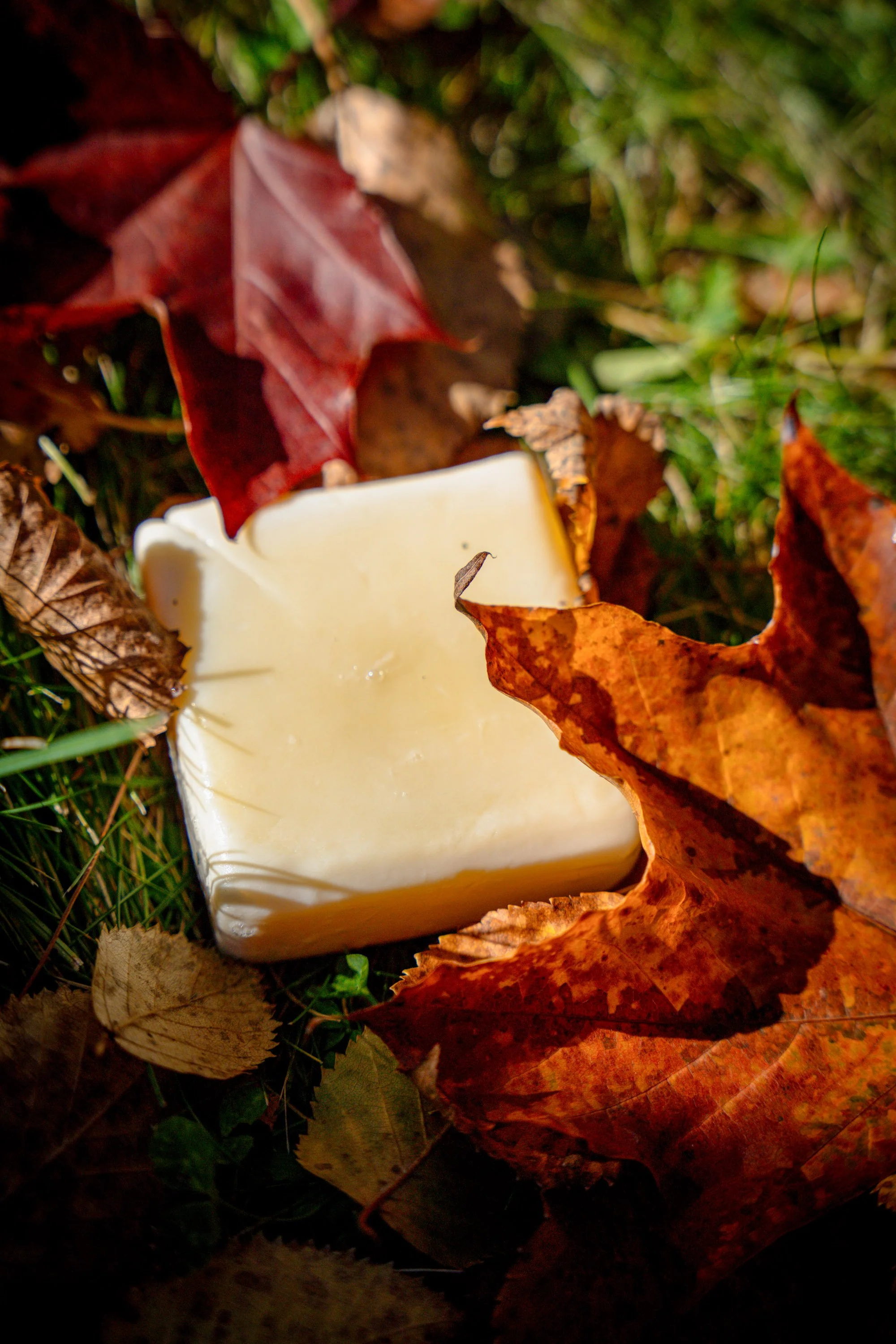 A partially melted white candle surrounded by fallen autumn leaves on green grass.