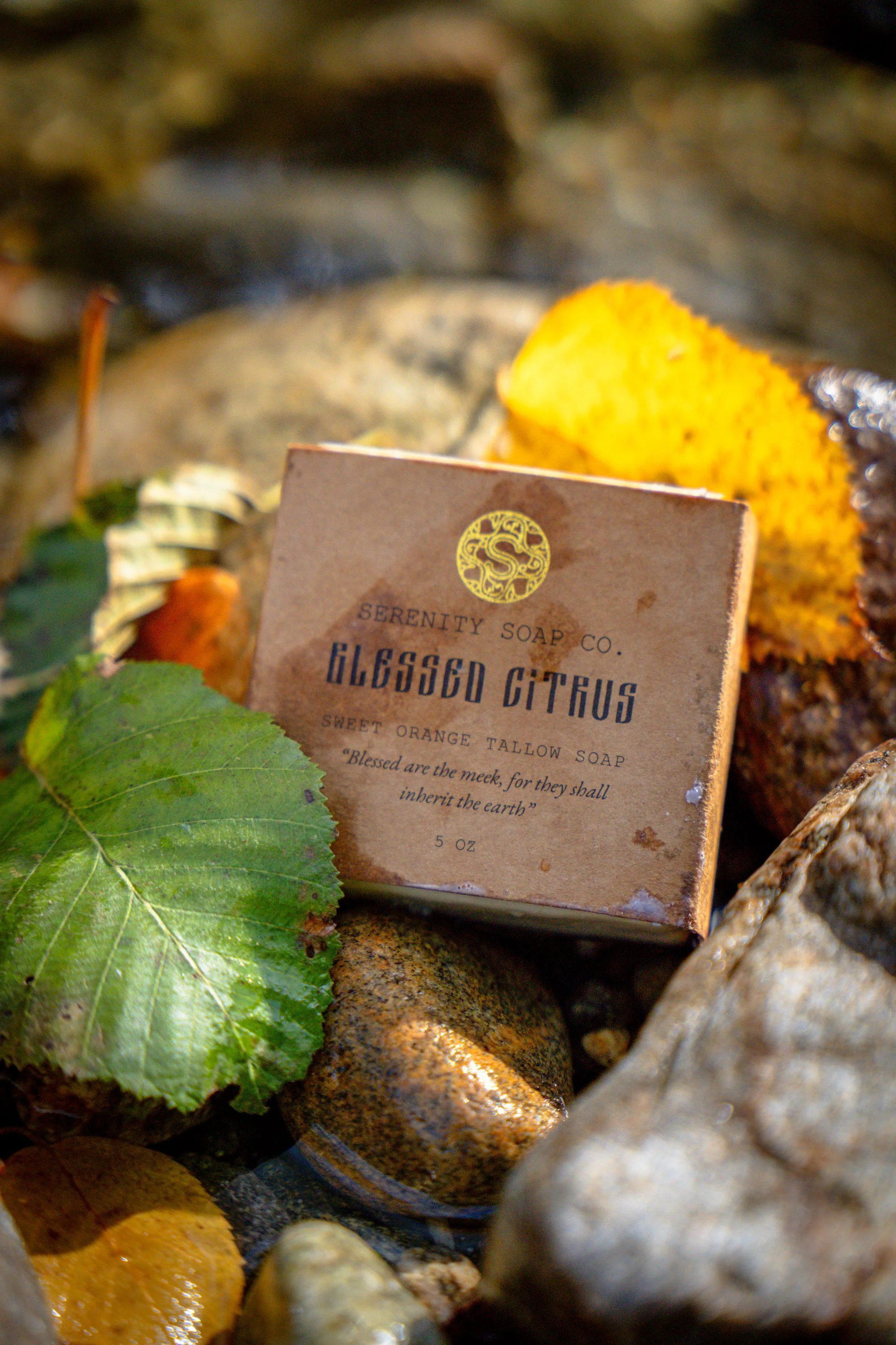 Close-up of a vintage soap package labeled 'Glassed Citrus' from Serenity Soap Co., surrounded by autumn leaves, stones, and a small orange slice.