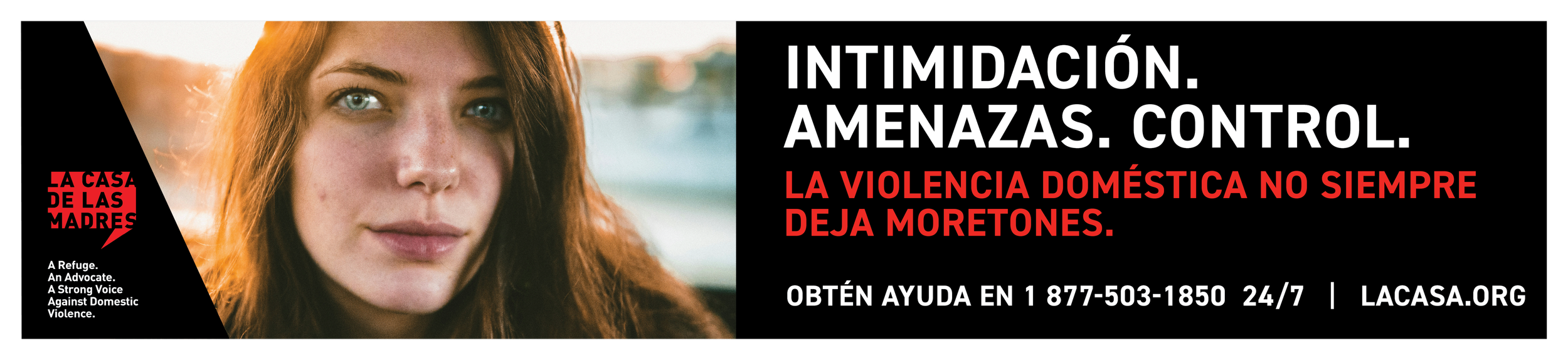 La Casa King Bus copy2.png