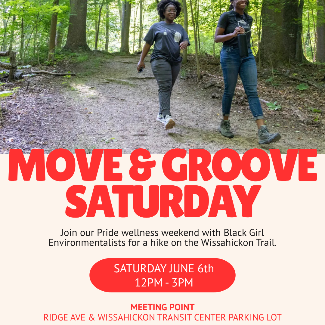 Move & Groove Saturday