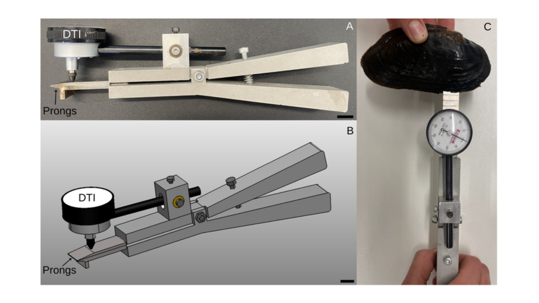 STer_design_fig_v2_130326_fig_1_final.png