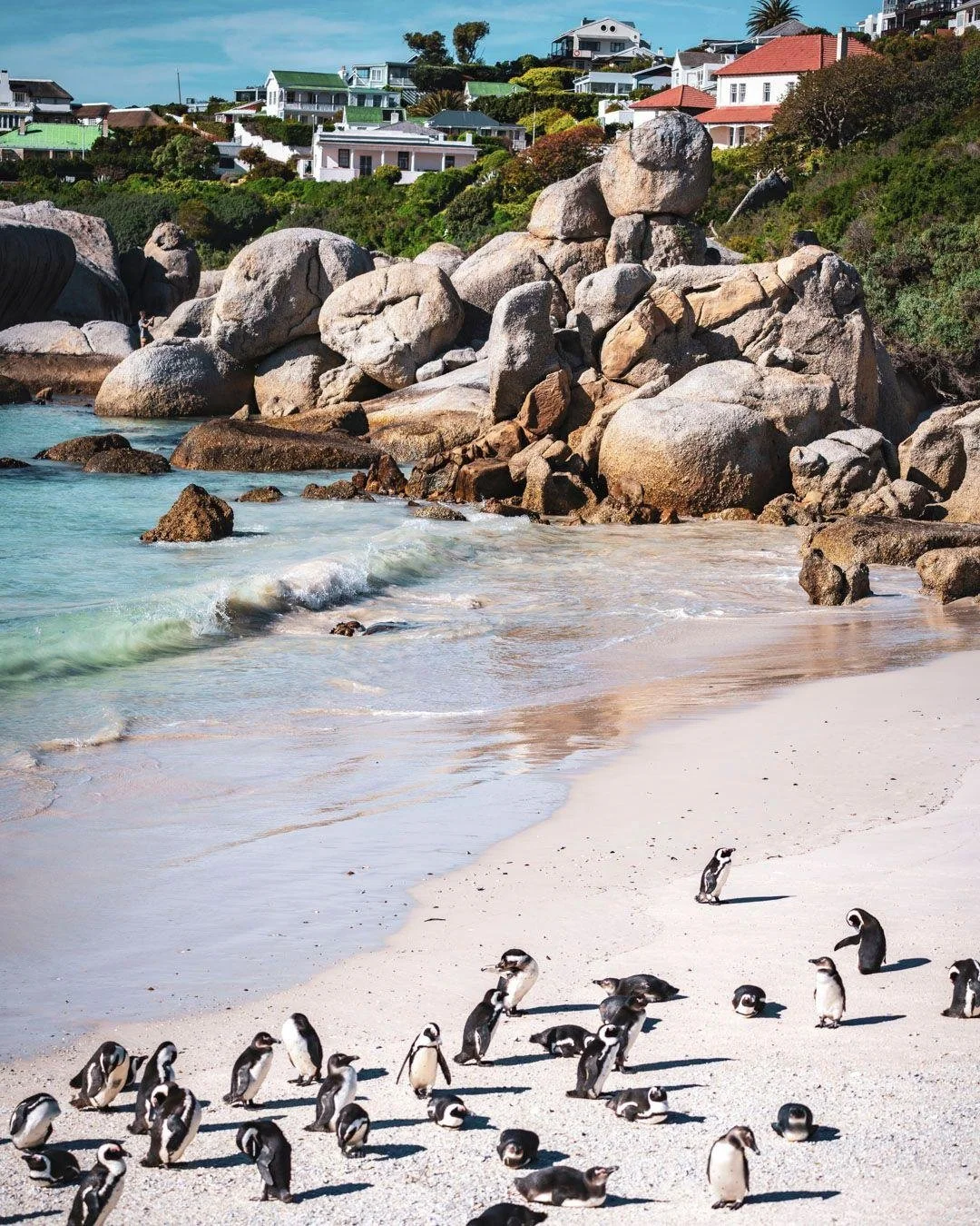 South Africa is one of the most itinerary-flexible destinations in the world. Here's how I recommend experiencing it:

Cape Town first. It's one of the most visually striking cities on earth with a strong dining and hotel scene. Top picks: Table Moun