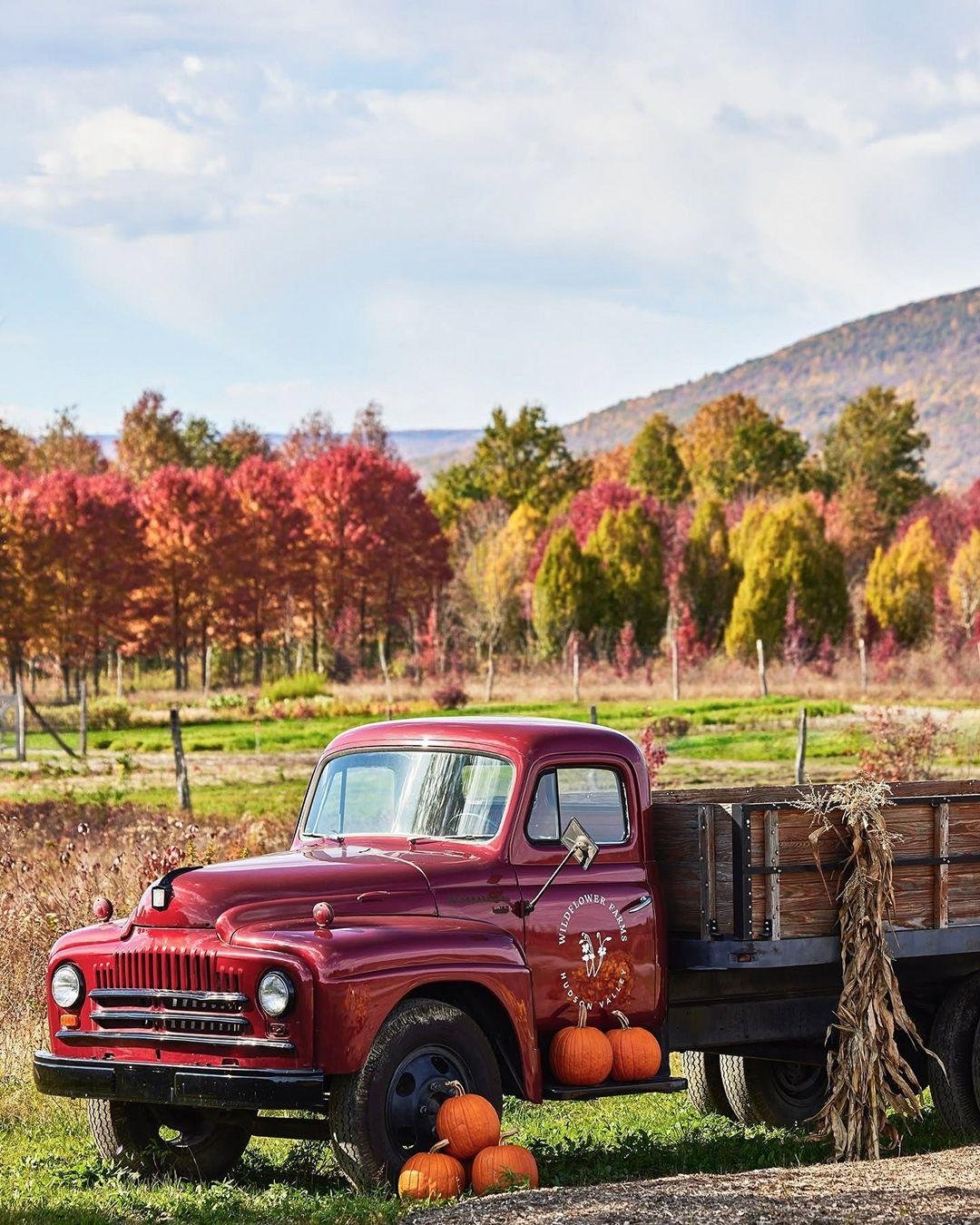 IMAGINE THIS: you&rsquo;re snuggled up in a blanket of vibrant fall colors, where the crisp air brings the promise of adventure. It's not too soon to think about next fall in some of my favorite spots:

🍁 The Cotswolds, England - Enjoy countryside r