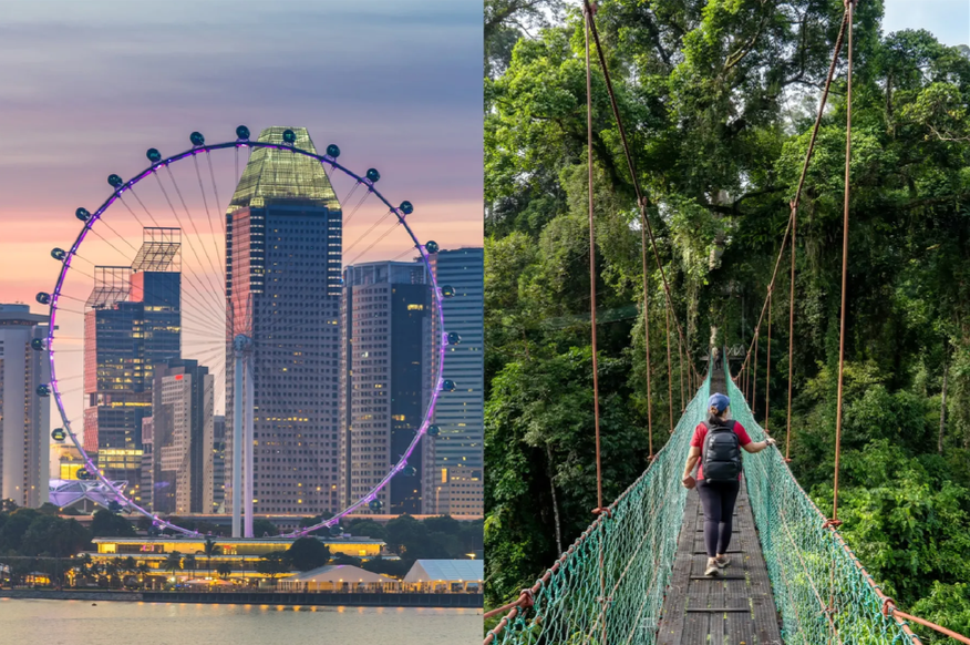 Split image showing a city skyline with a large Ferris wheel at sunset on the left, and a person walking on a narrow suspension bridge in a forest on the right.