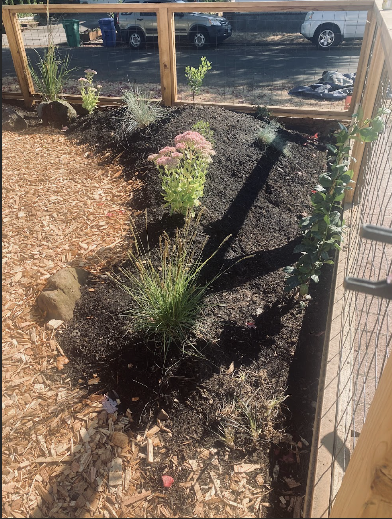 Screenshot 2026-01-18 at 10.57.32 AM.png