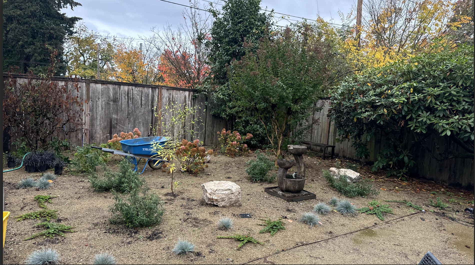 Screenshot 2026-01-18 at 11.08.45 AM.png