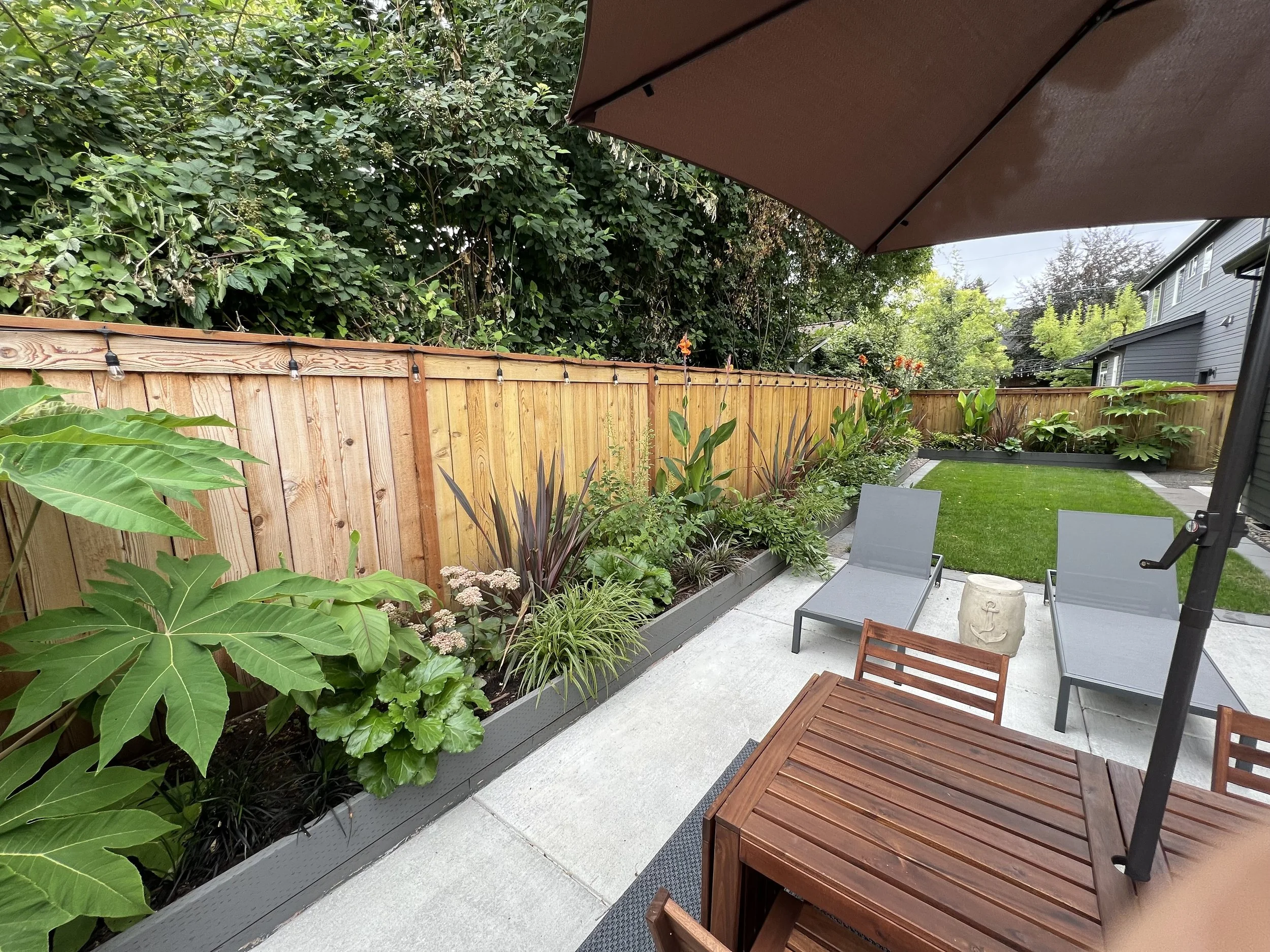 Chris Modern Garden .jpg