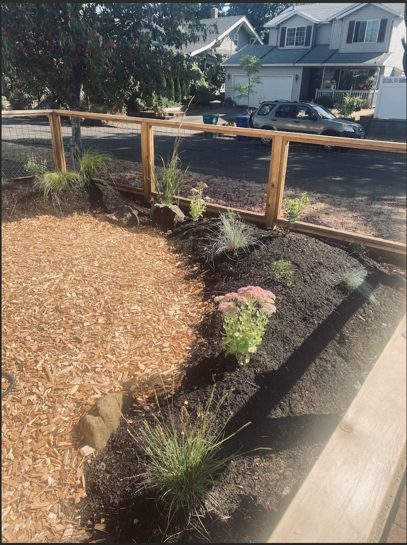 Screenshot 2026-01-18 at 10.57.41 AM.png