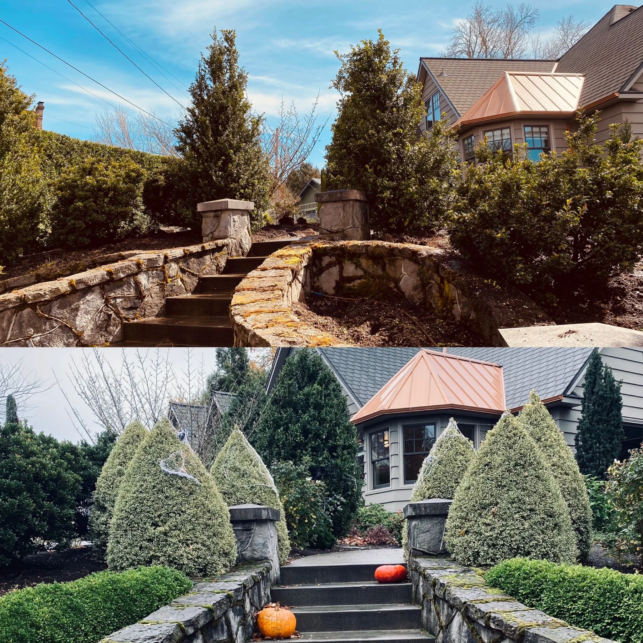 before and after .JPG