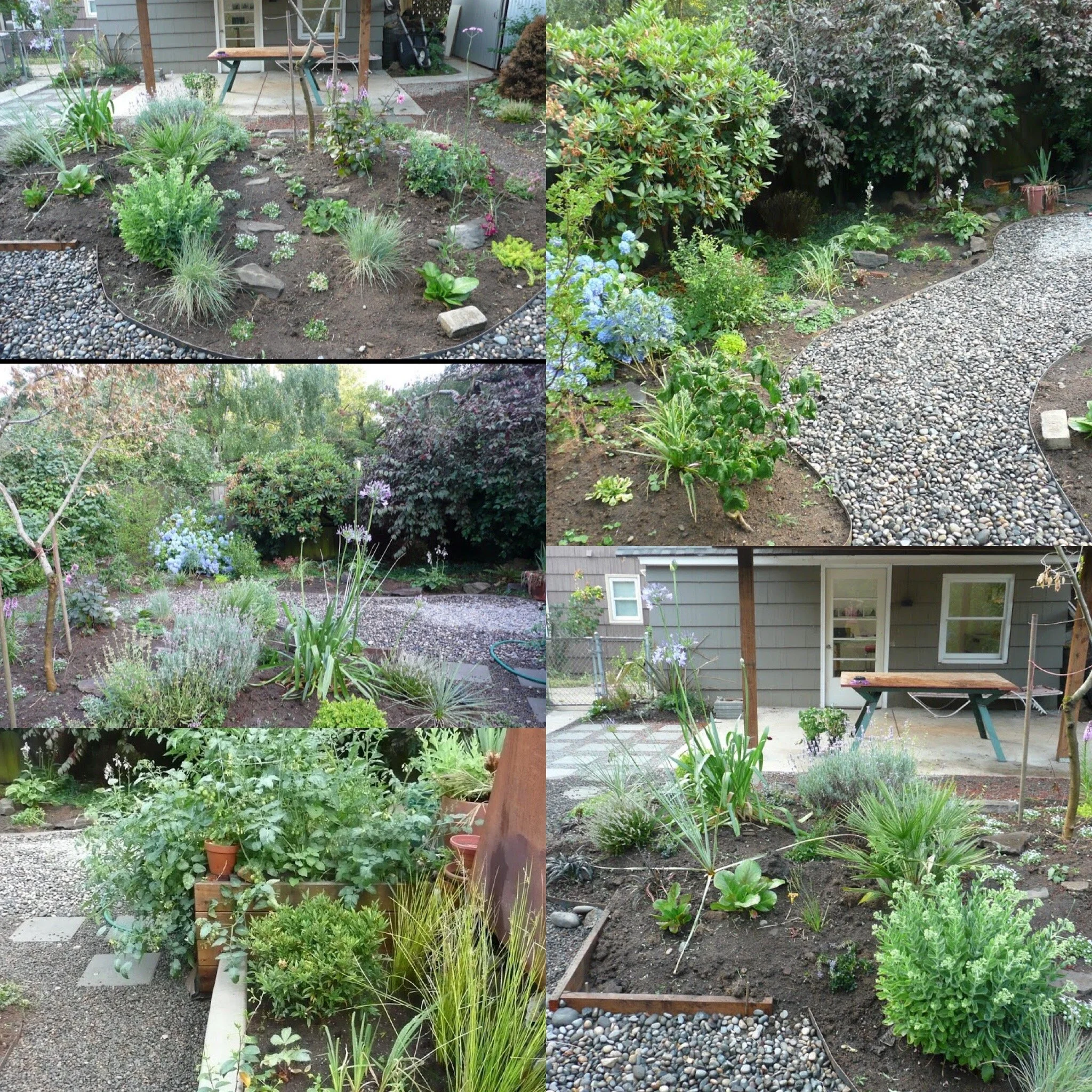 original mississippis .JPG