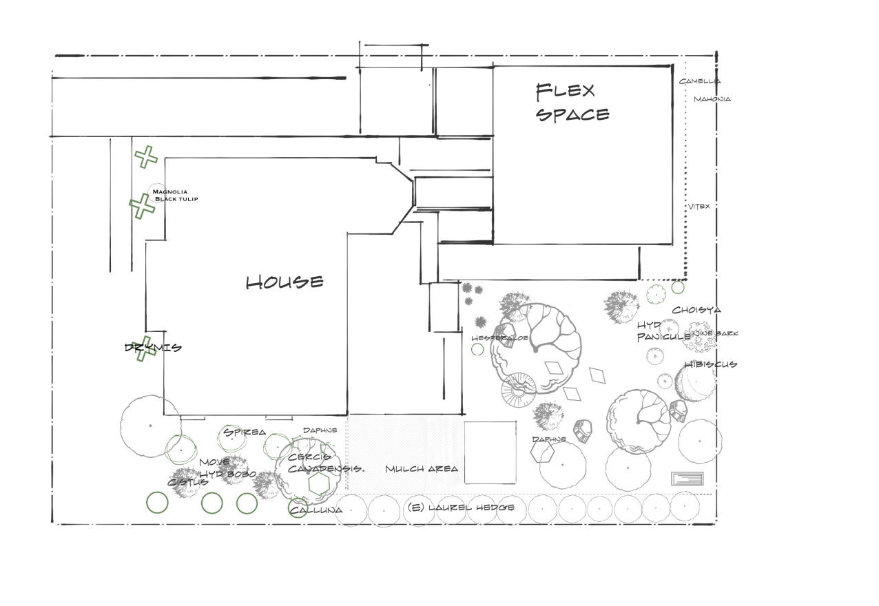 Screenshot 2026-01-18 at 10.42.25 AM.png