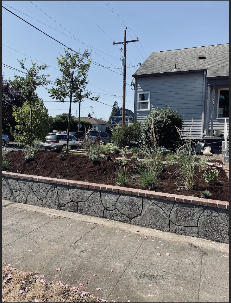 Screenshot 2026-01-18 at 10.47.09 AM.png