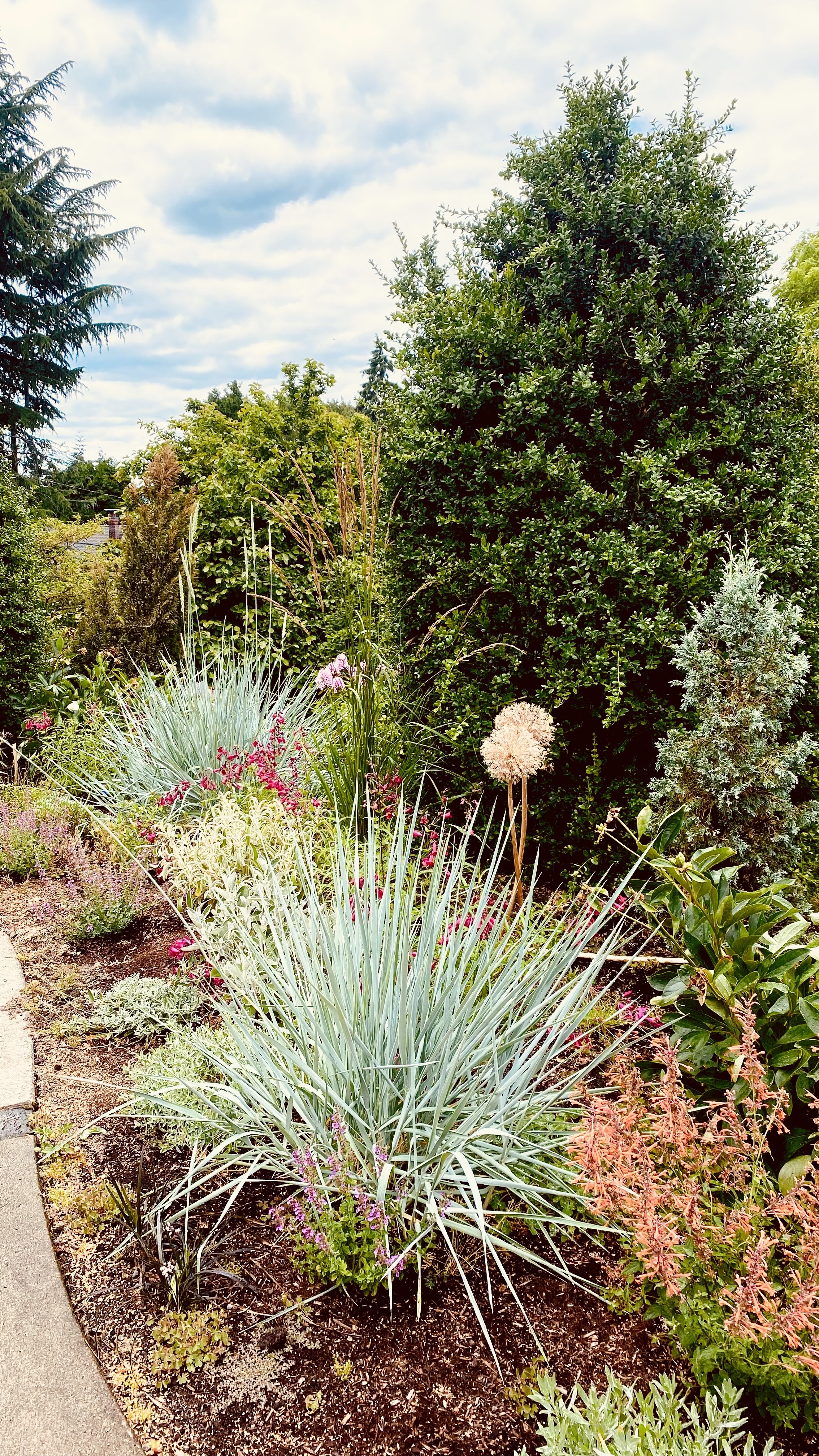 summer tab or 1 year .jpg