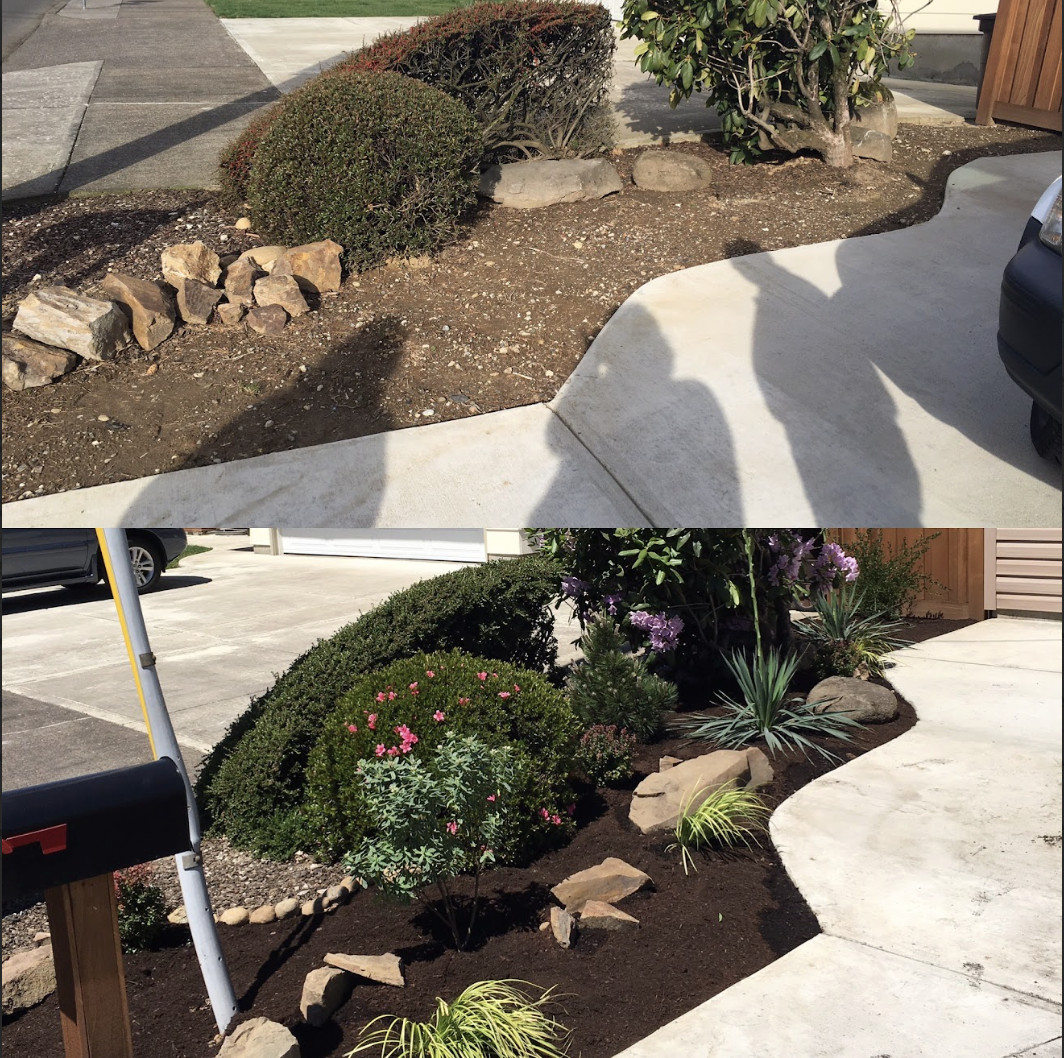 Screenshot 2026-01-16 at 9.19.28 AM.png