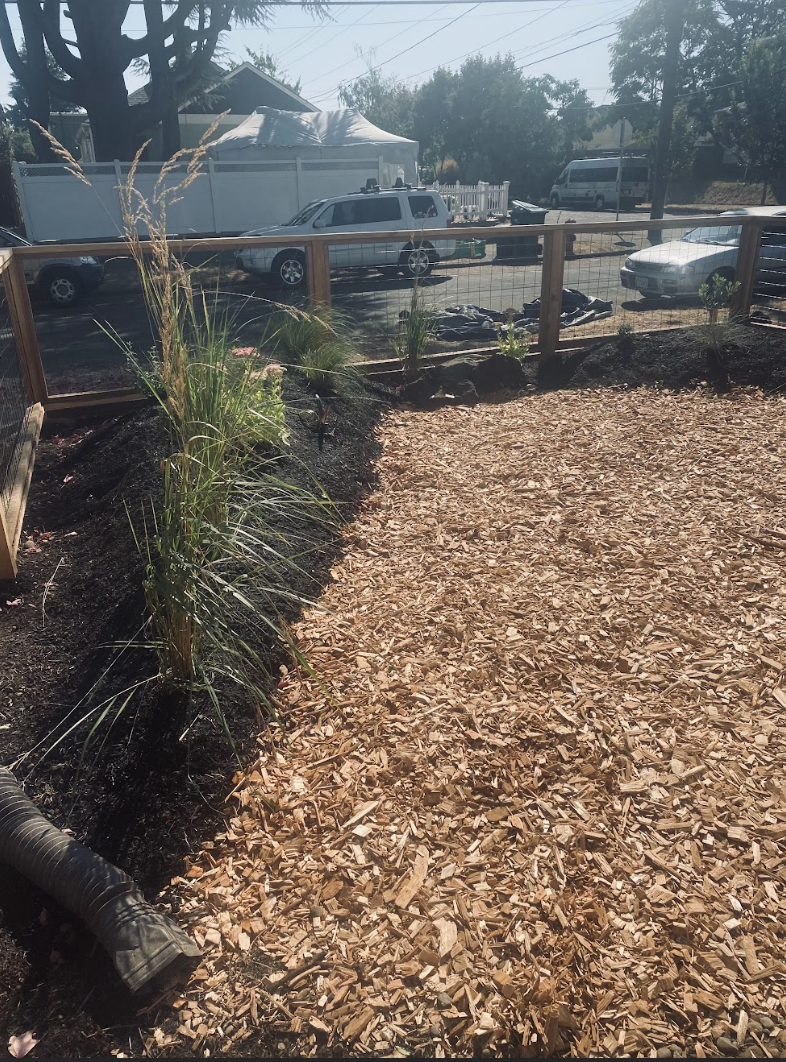 Screenshot 2026-01-18 at 10.58.01 AM.png