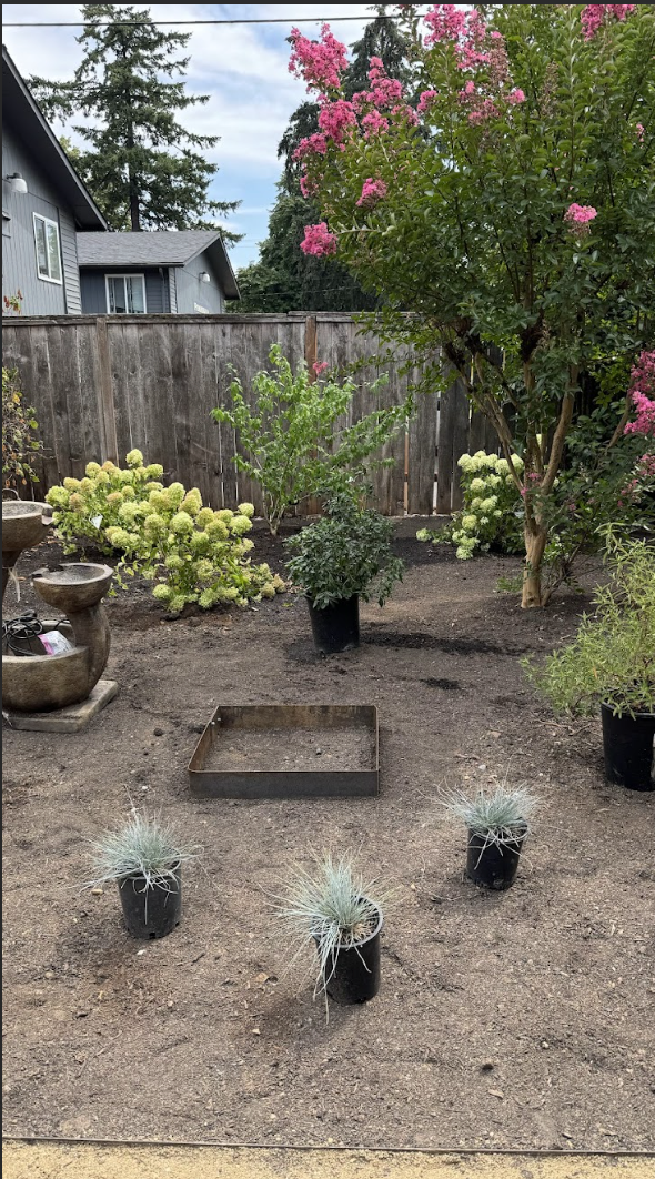 Screenshot 2026-01-18 at 11.08.07 AM.png