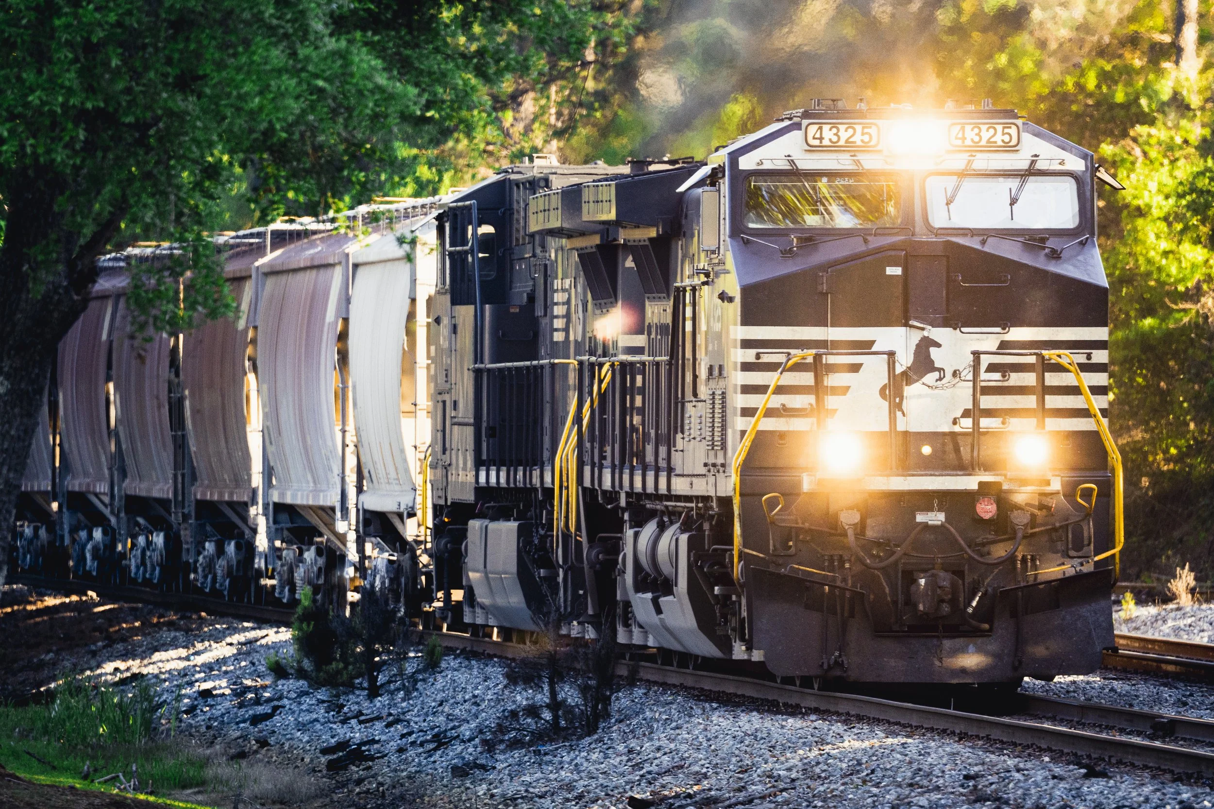 muzzo_train-collection2-1.jpg