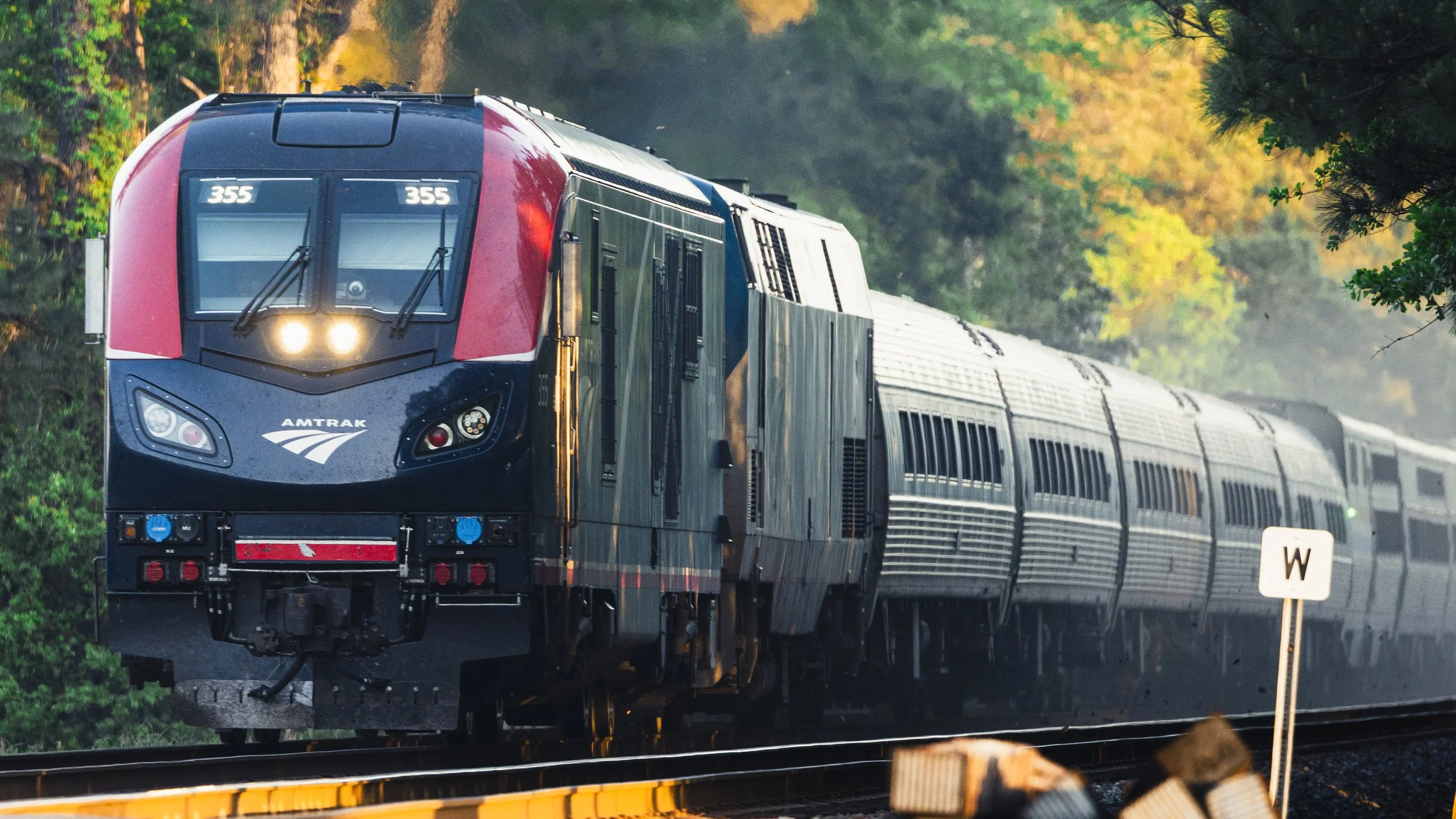 muzzo_train-collection2-2.jpg