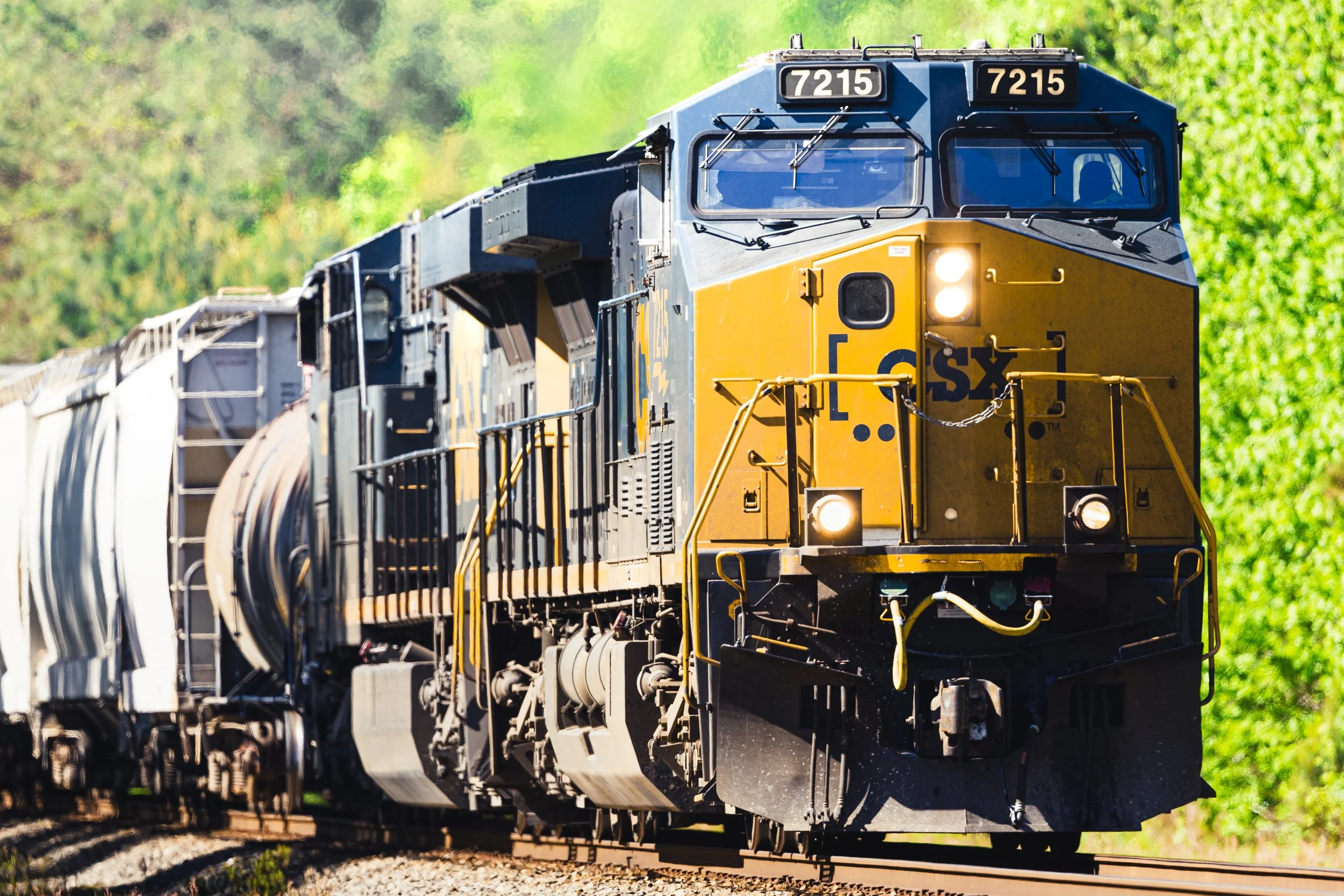 muzzo_train-collection2-3.jpg