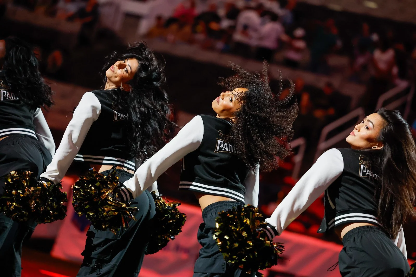 BAY AREA PANTHERS DANCE TEAM