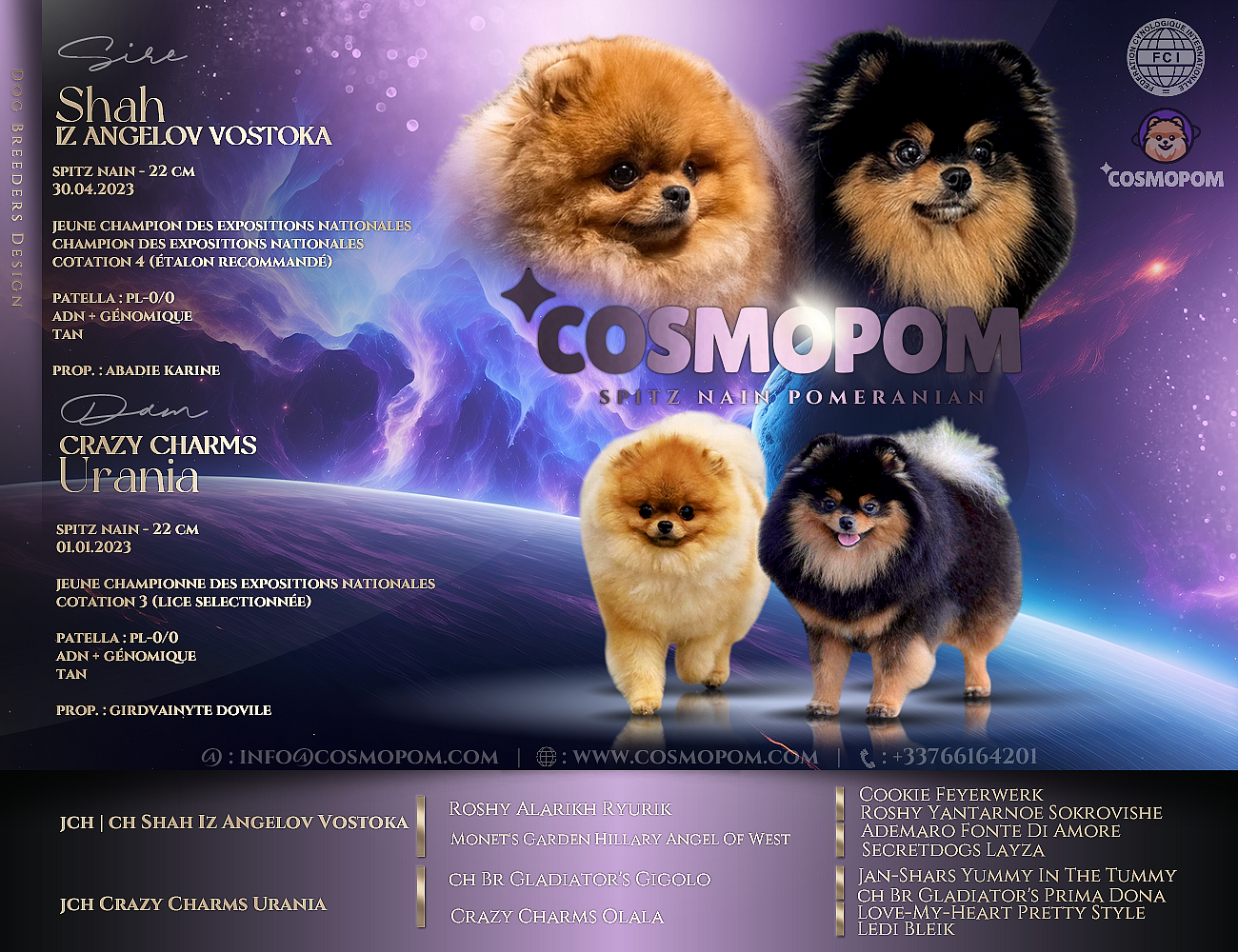 Affiche de concours canin mettant en avant des chiens de race Spitz nain, avec des images de quatre chiens de différentes couleurs sur un fond cosmique avec des étoiles et une planète. L'affiche comporte des informations sur les chiens, les éleveurs, et les détails du concours.