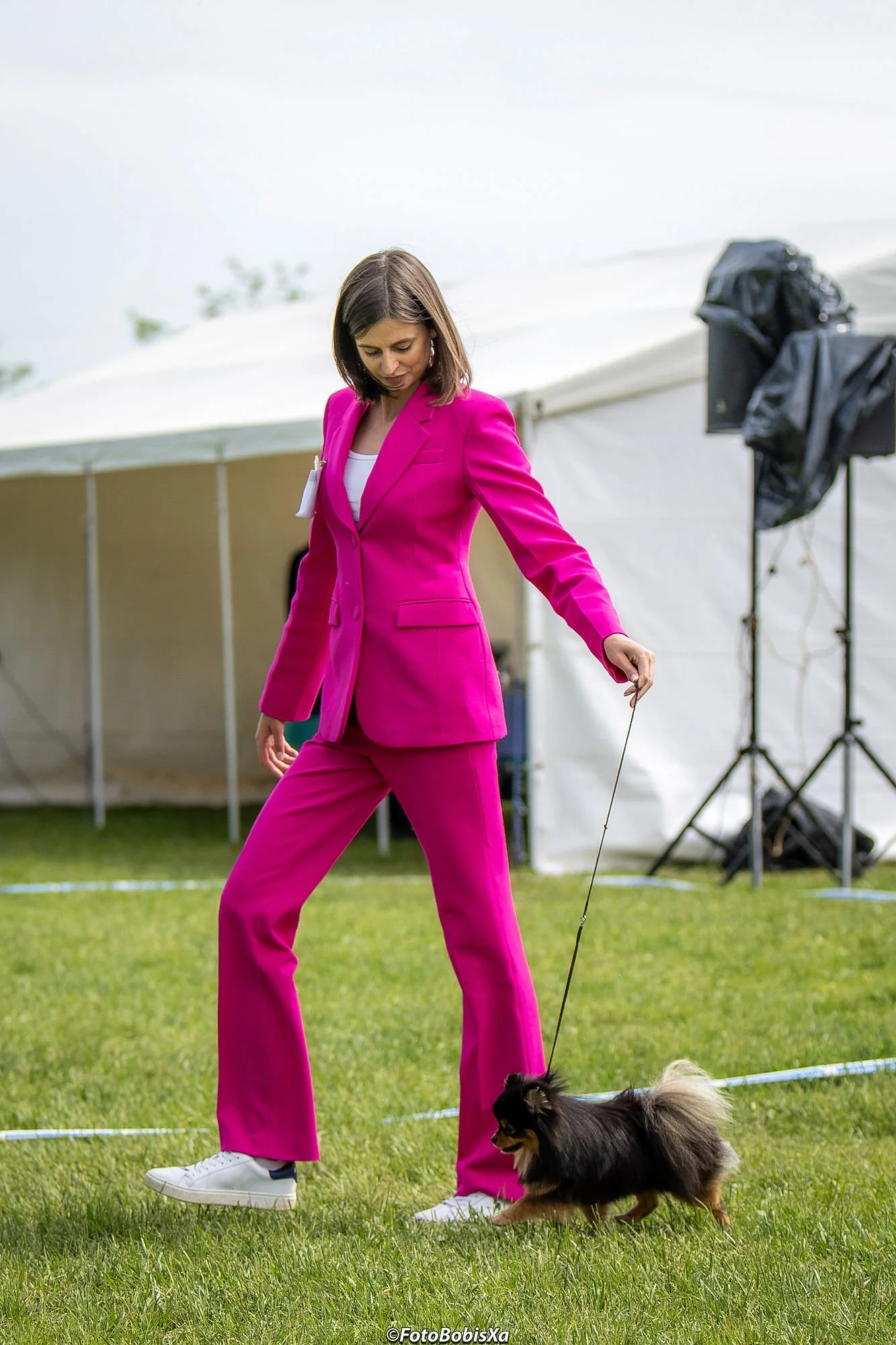 concours pomeranian.JPG