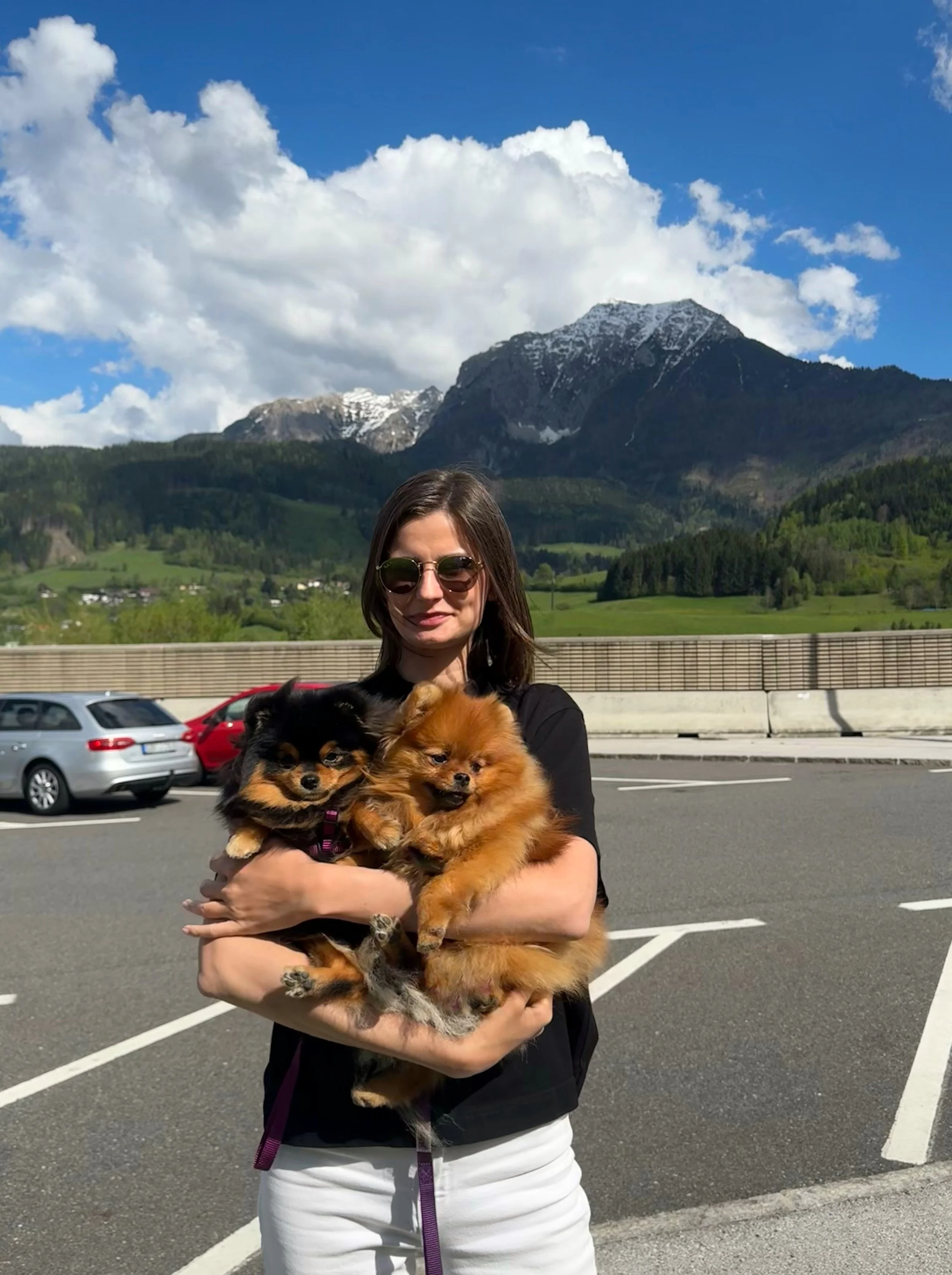 beau pomeranian.jpeg