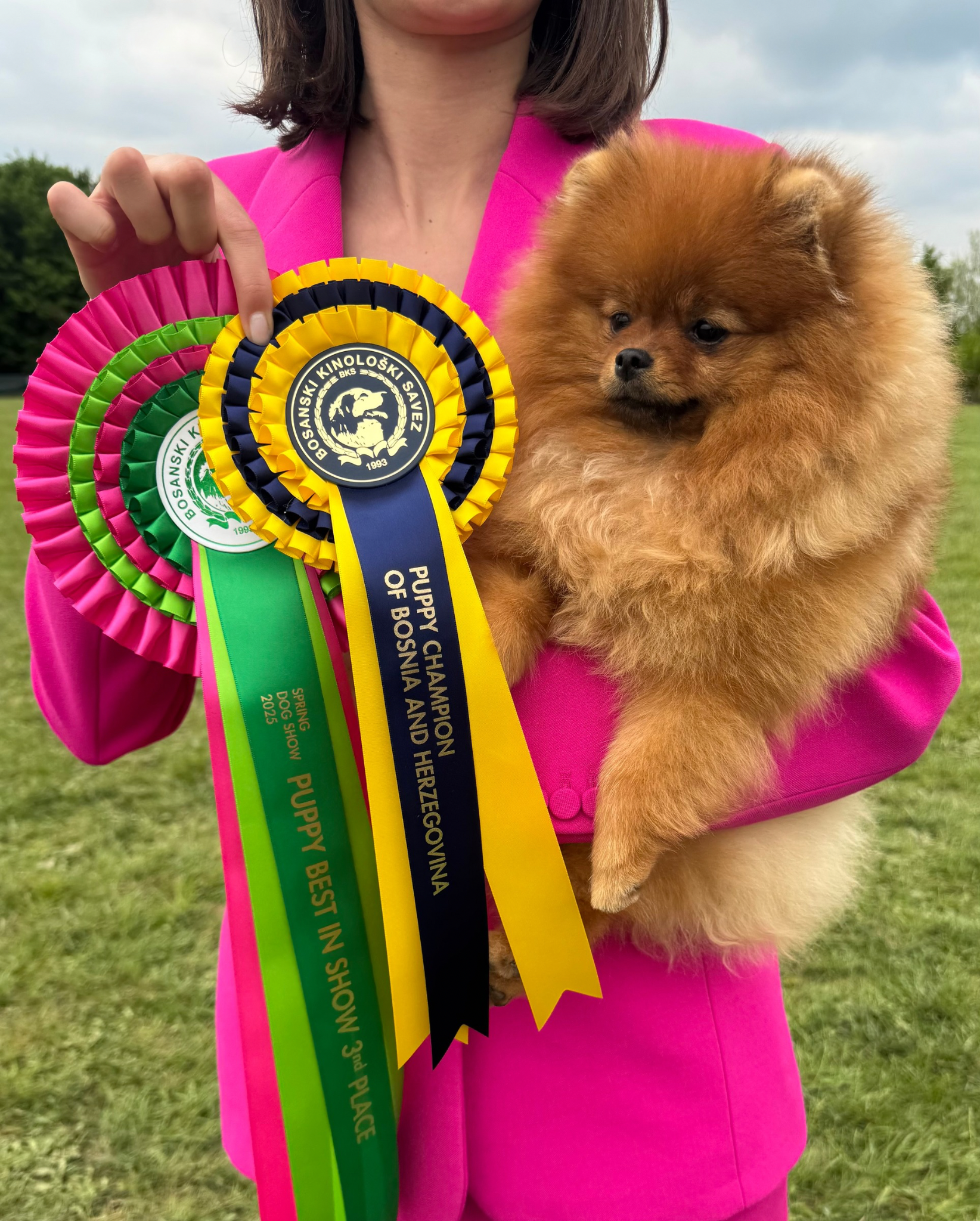 Une femme en veste rose tient un petit chien pomeranian à  fourrure orange, tout en exhibant plusieurs rosettes de récompense d'un concours canin, dont une de champion de Bosnie et Herzégovine.