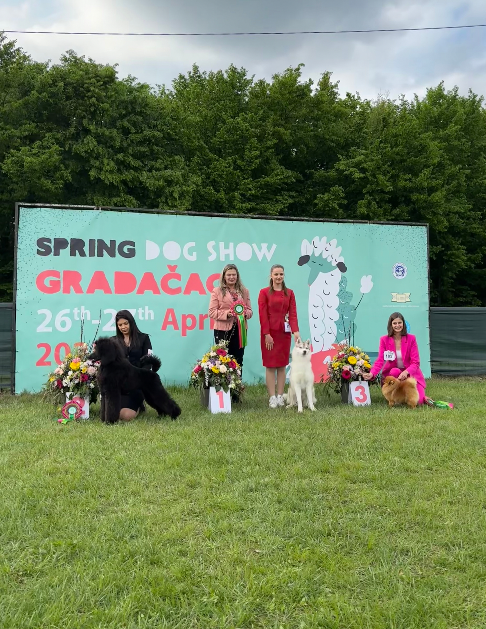 concours canin en plein air