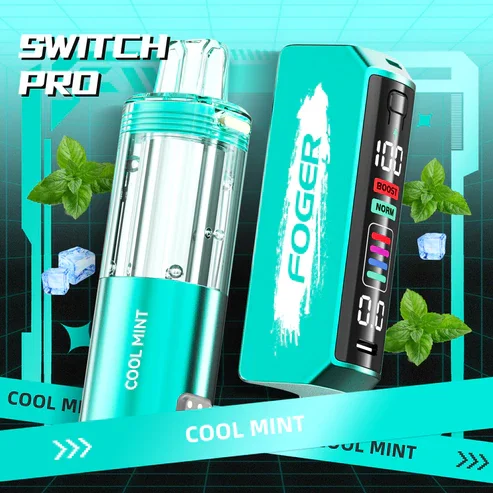cool-mint-foger-switch-pro-30k-puffs-disposable-vape.webp