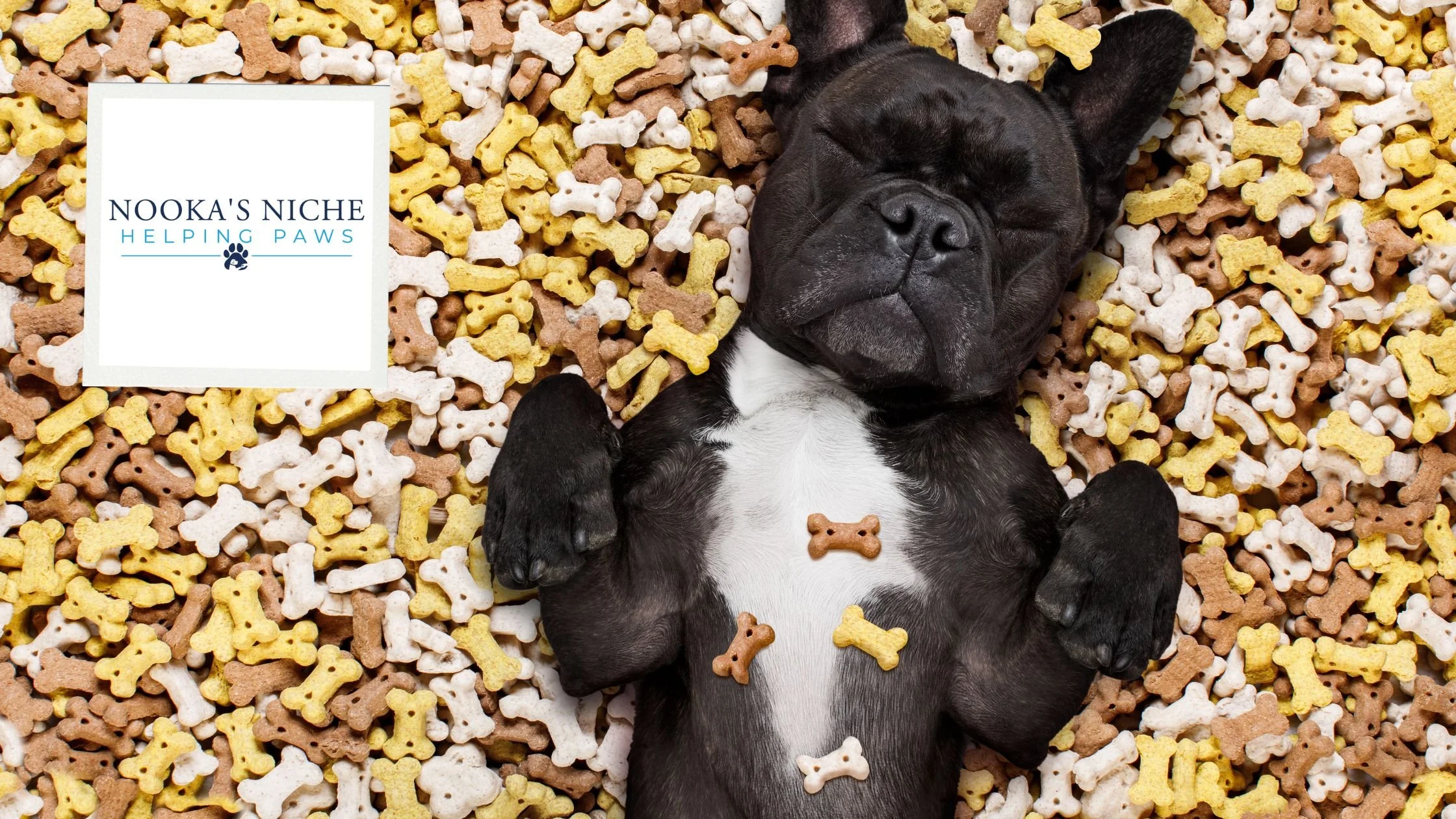 To Feed or Not to Feed: That Is the Question