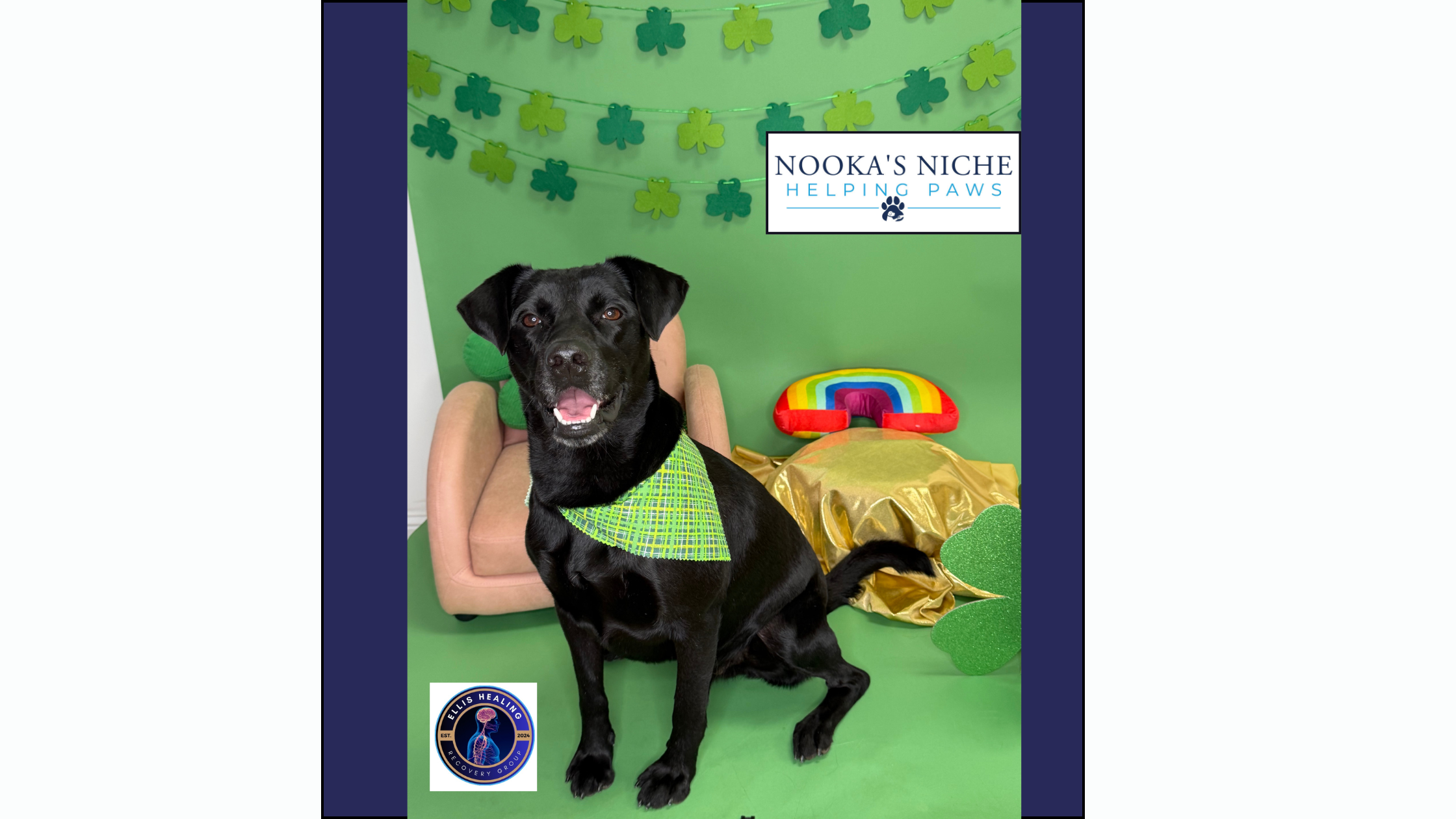 He’s no ordinary Mutt, He’s a Super-Mutt pt.1