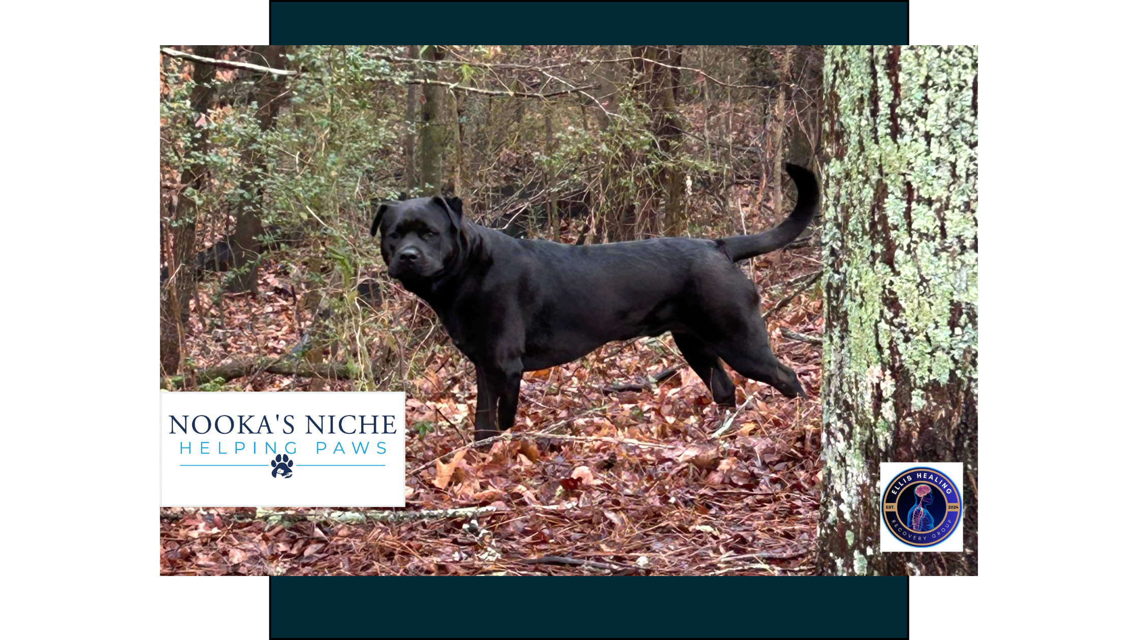 Supporting Blue pt.2