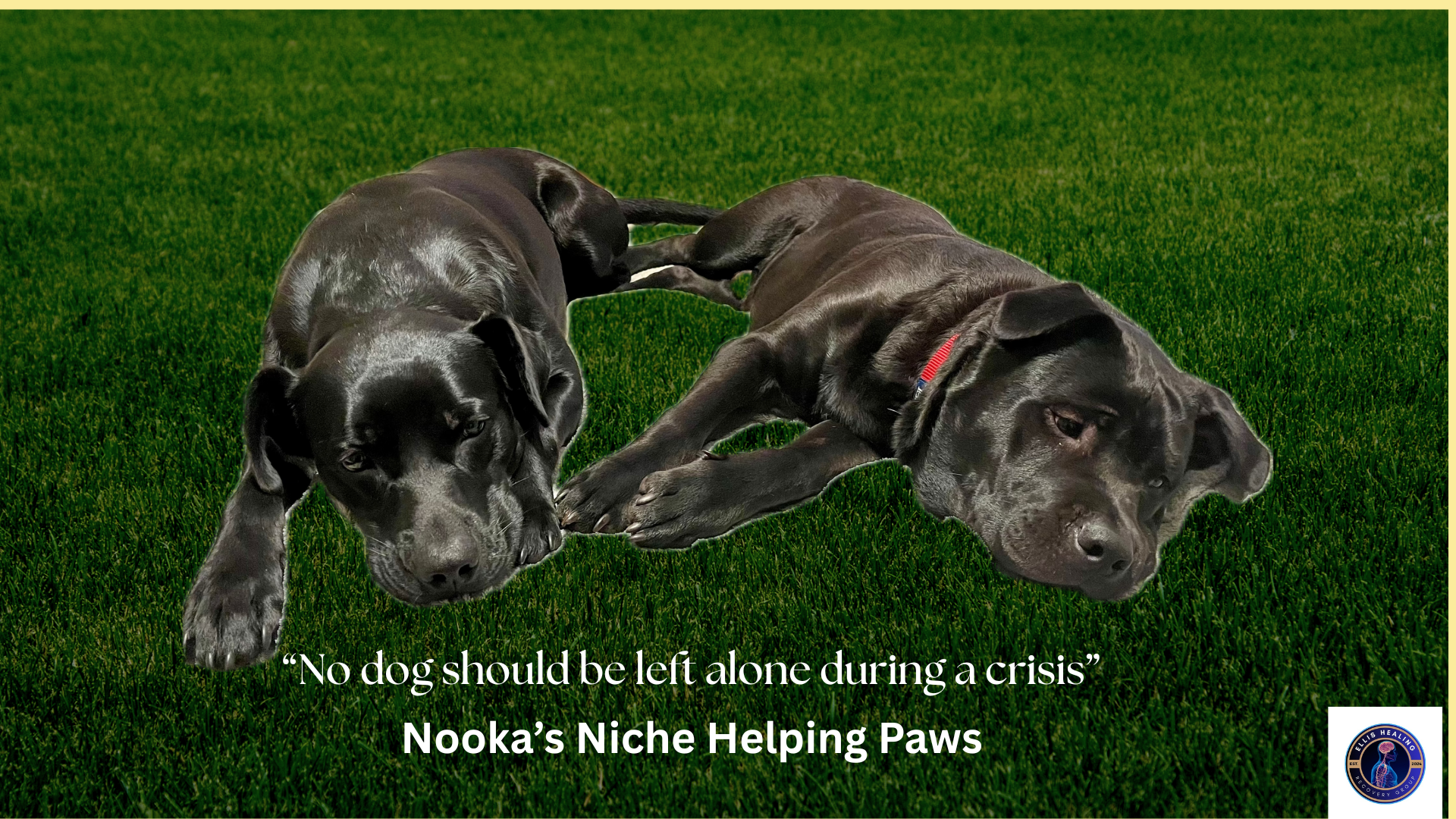 A Pet-Support Network: looking out for your Dog when you Can’t