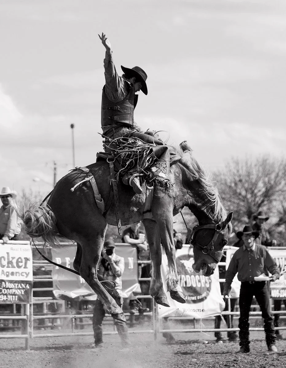 Cowboy riding a bucking horse at the miles city bucking horse sale
