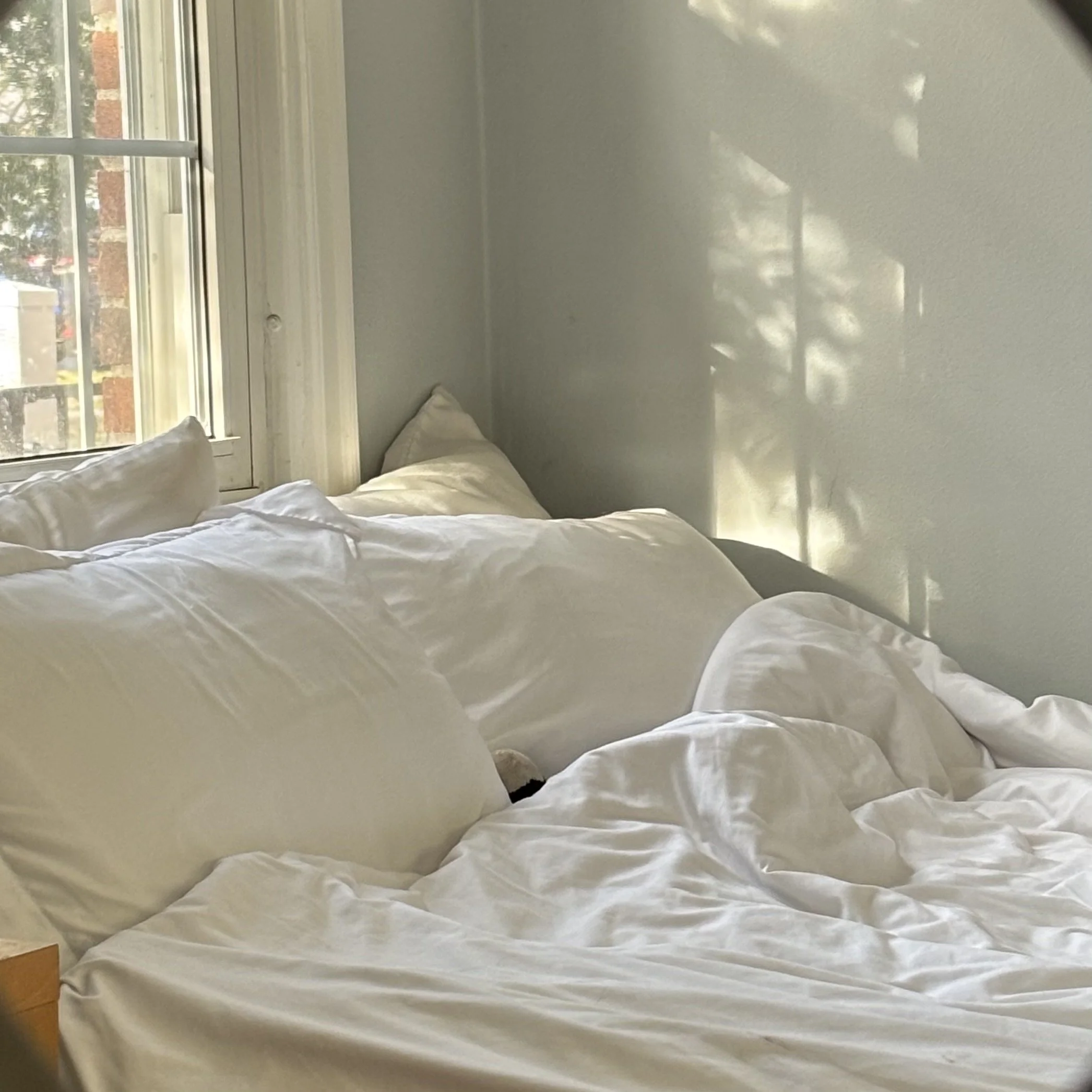 Sunlight filters through a window, casting shadows on a white bed with rumpled sheets and pillows.