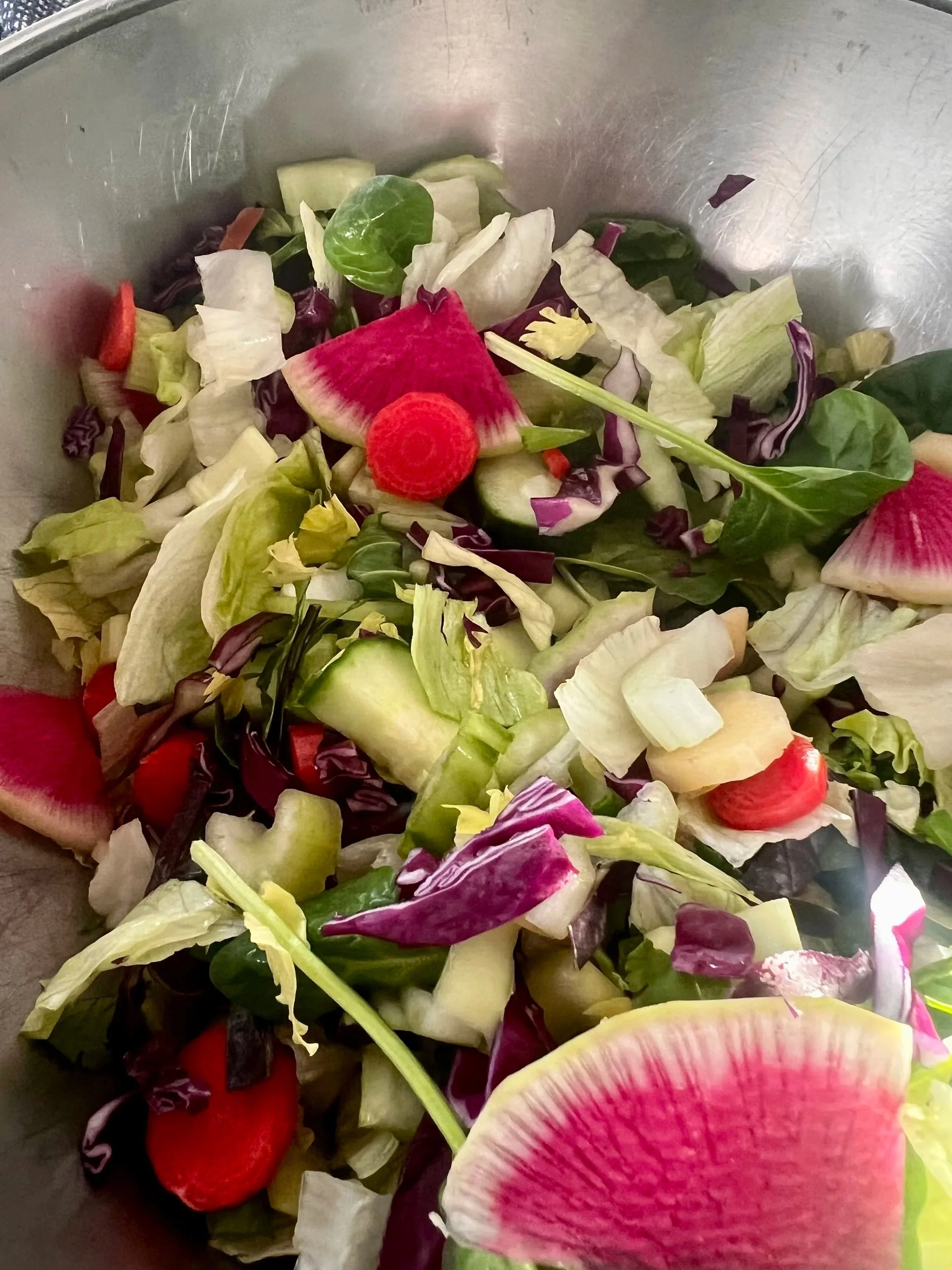 Best healthy vegetarian and vegan lunch options in Rehoboth Beach