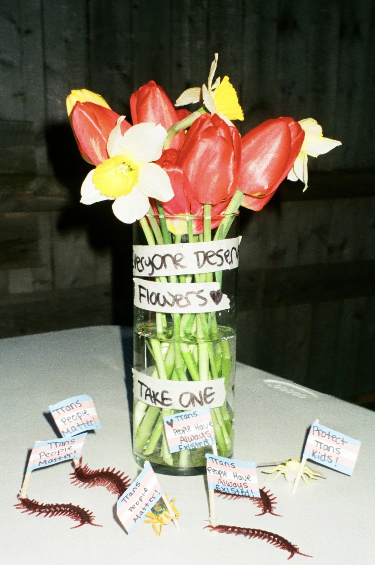 Photo Apr 21 2026, 9 17 10 PM (4).jpg