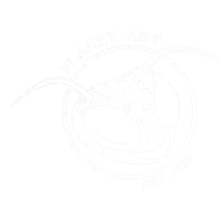 Logo with a cartoon ant's head and antennae, surrounded by the text 'Planet Ant' and 'Est. 1993'