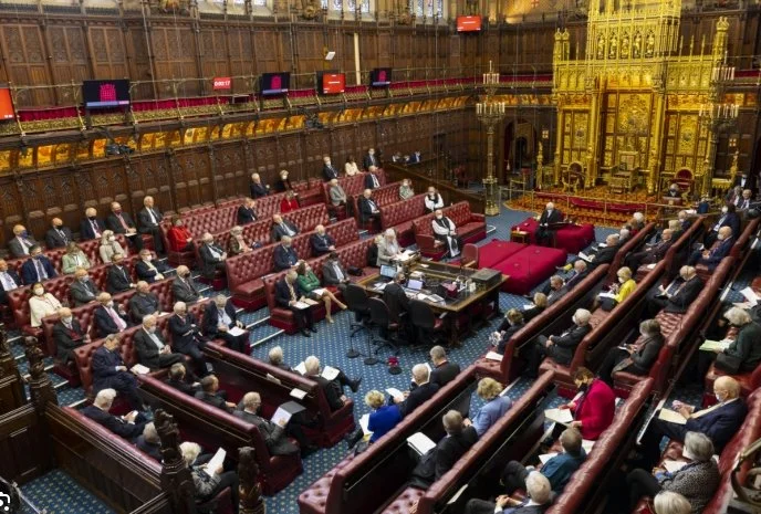 The House of Lords: Tradition, Reform, and the Battle Over Legitimacy