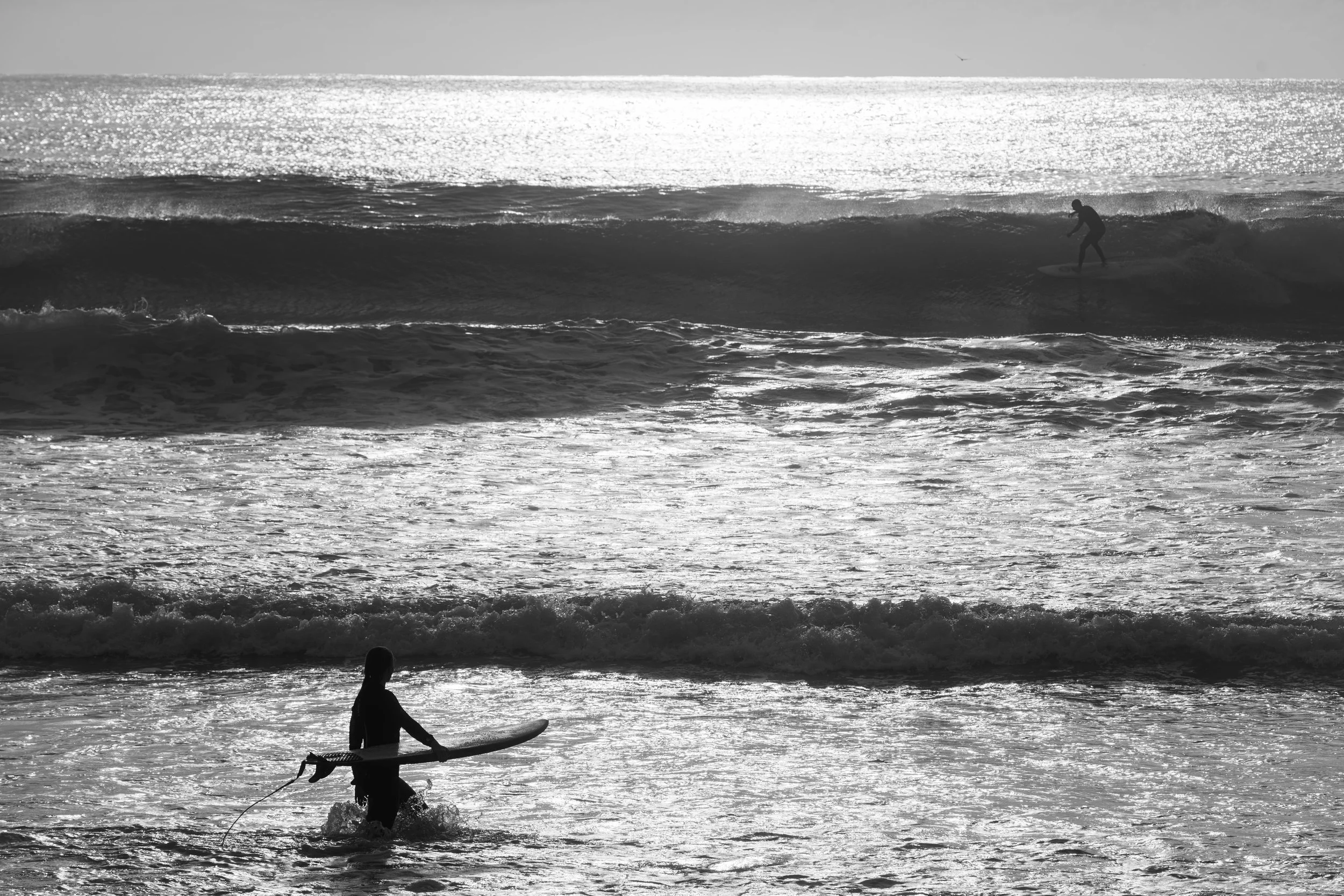 Morning sets: Manly Beach