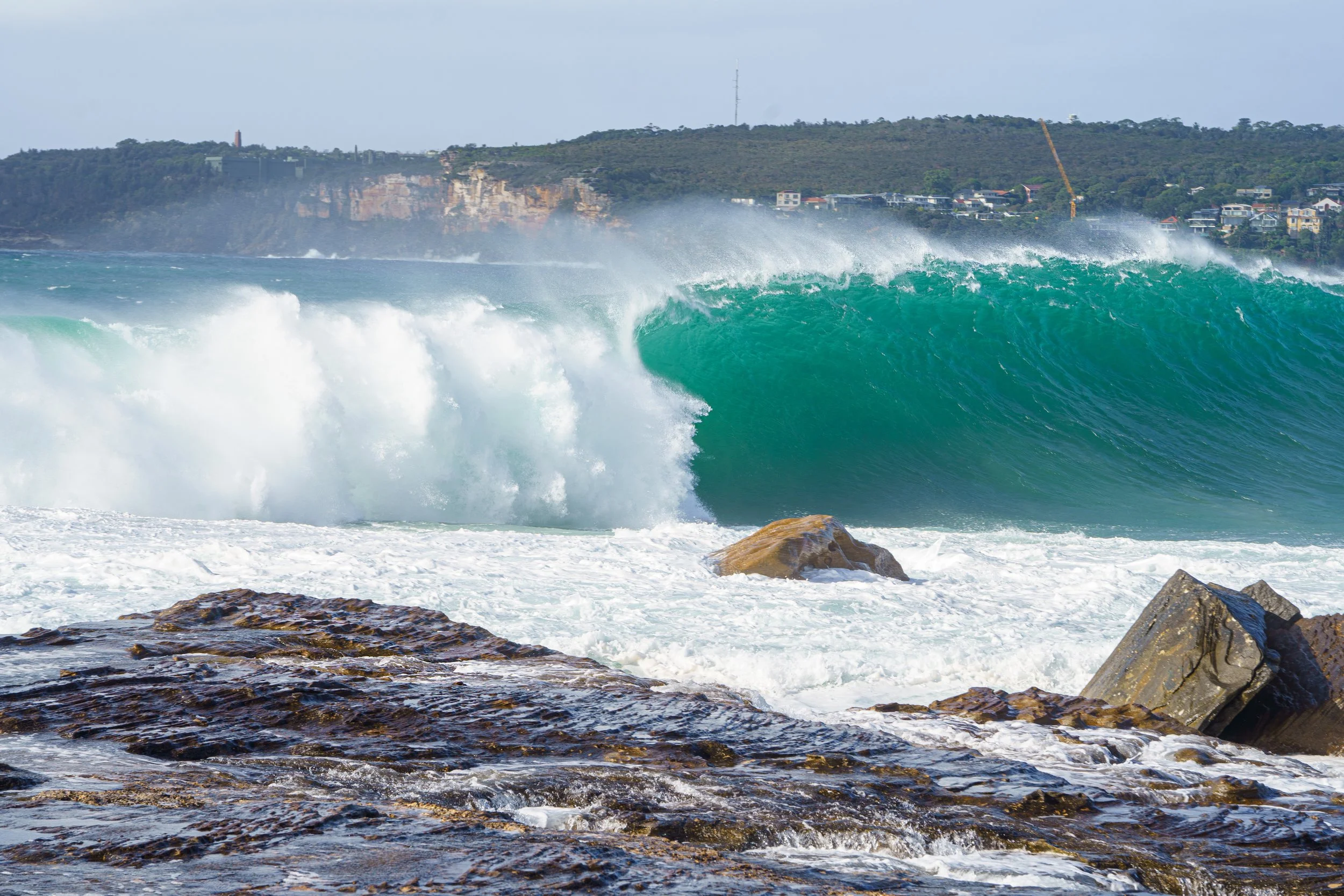 Freshwater Beach Swells