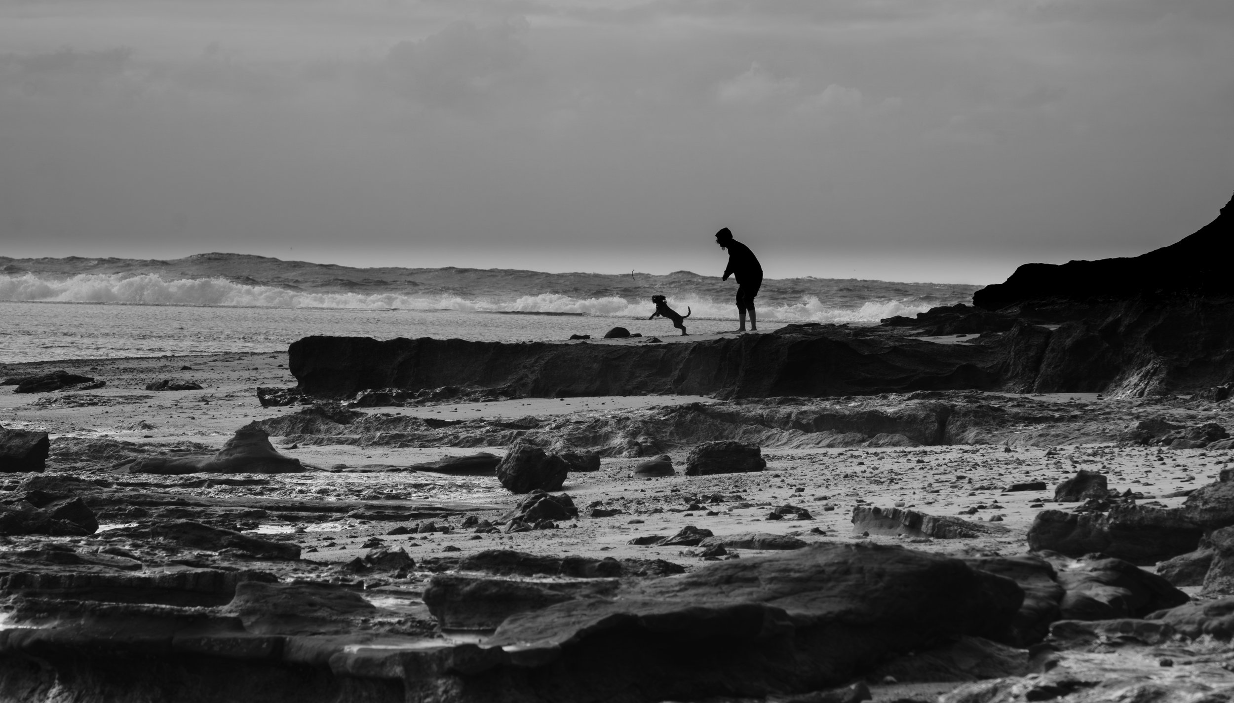 Playing with the dog: Longreef NSW