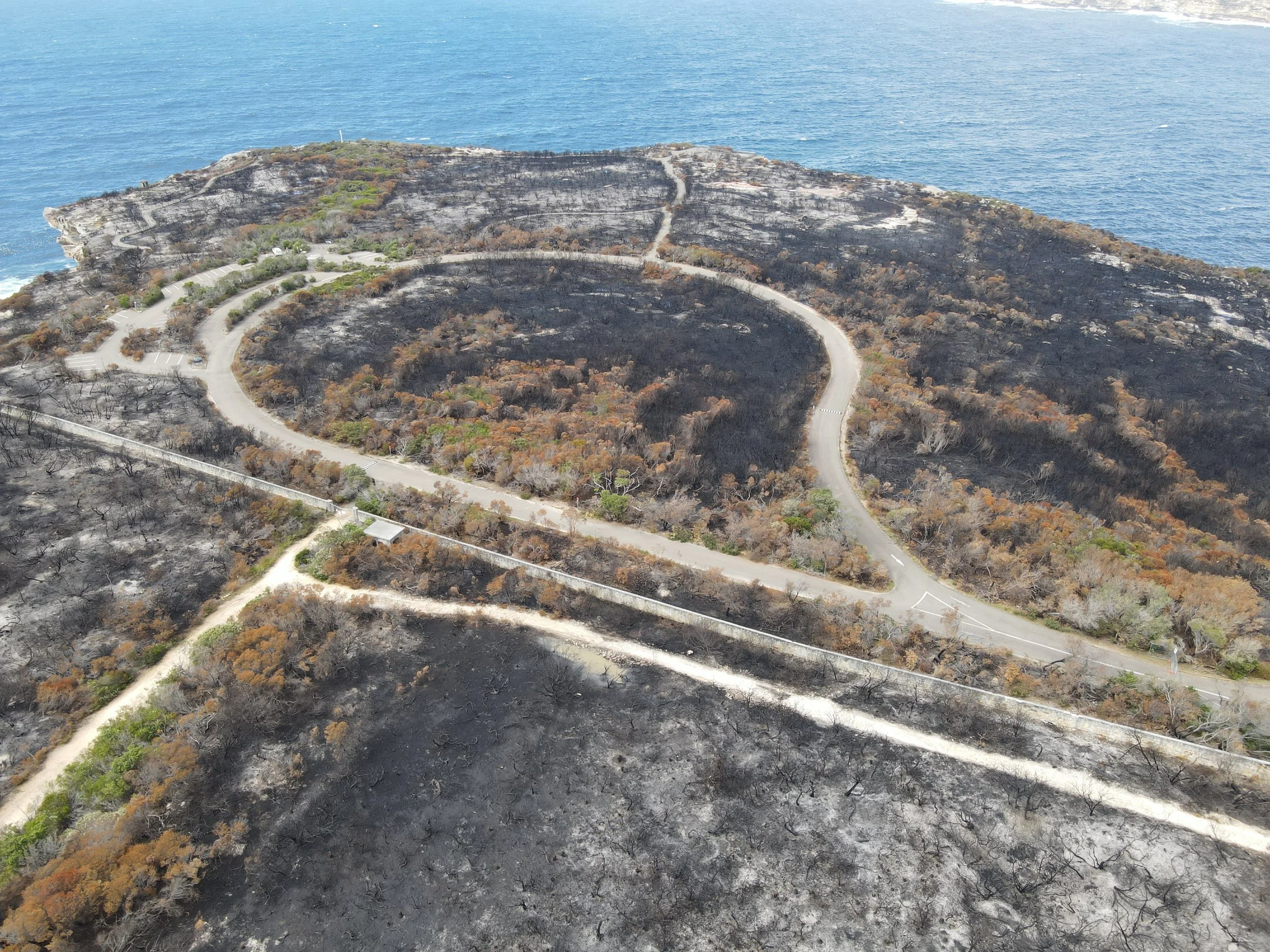 RFS: Post fire review. North Head, Sydney