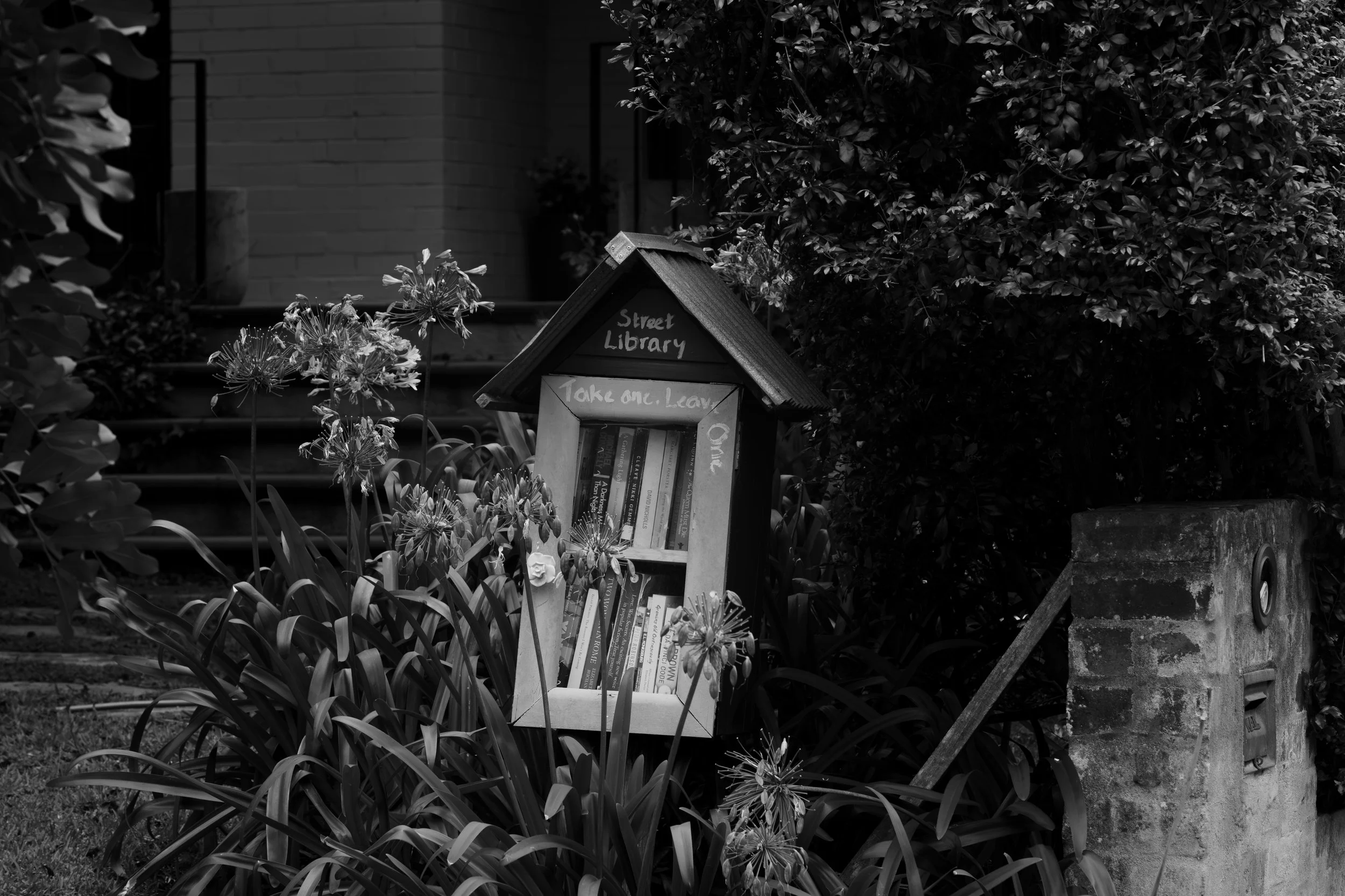 Street Library: Balgowlah NSW