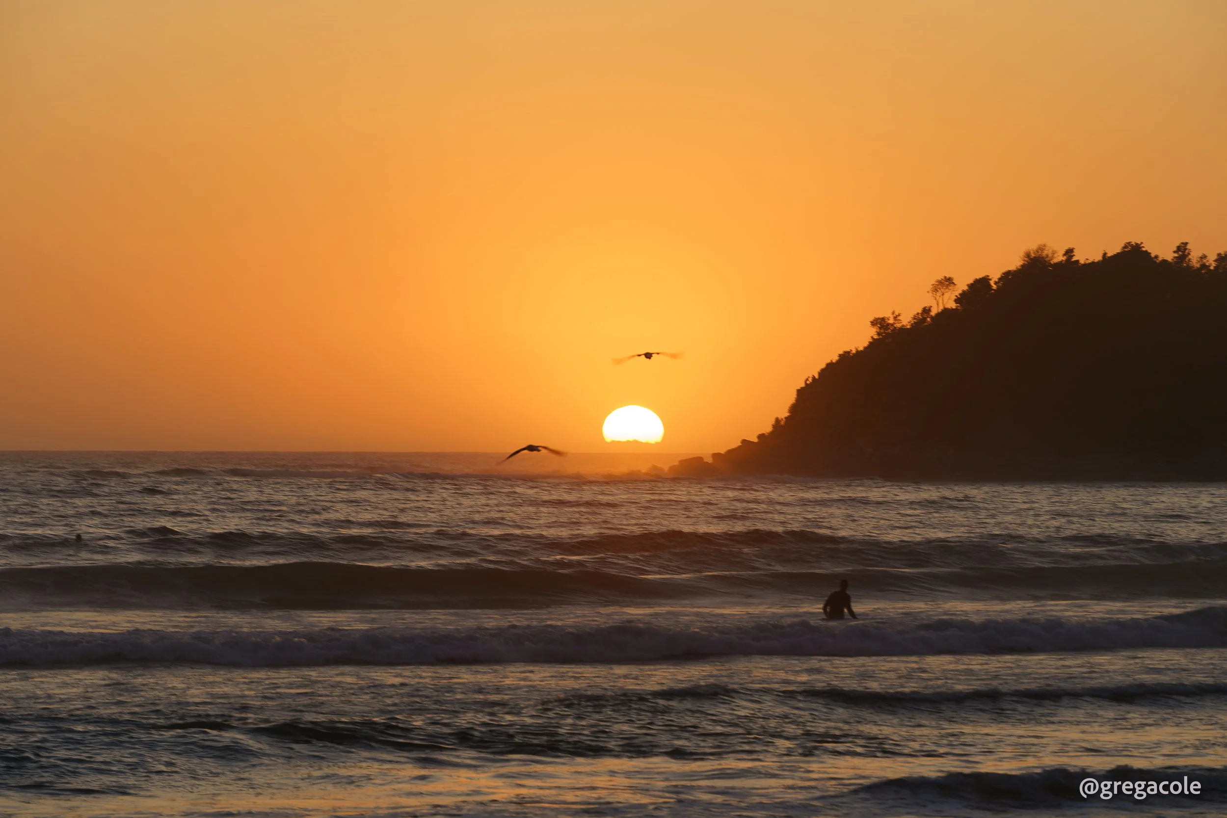 Press Photo: Manly Beach