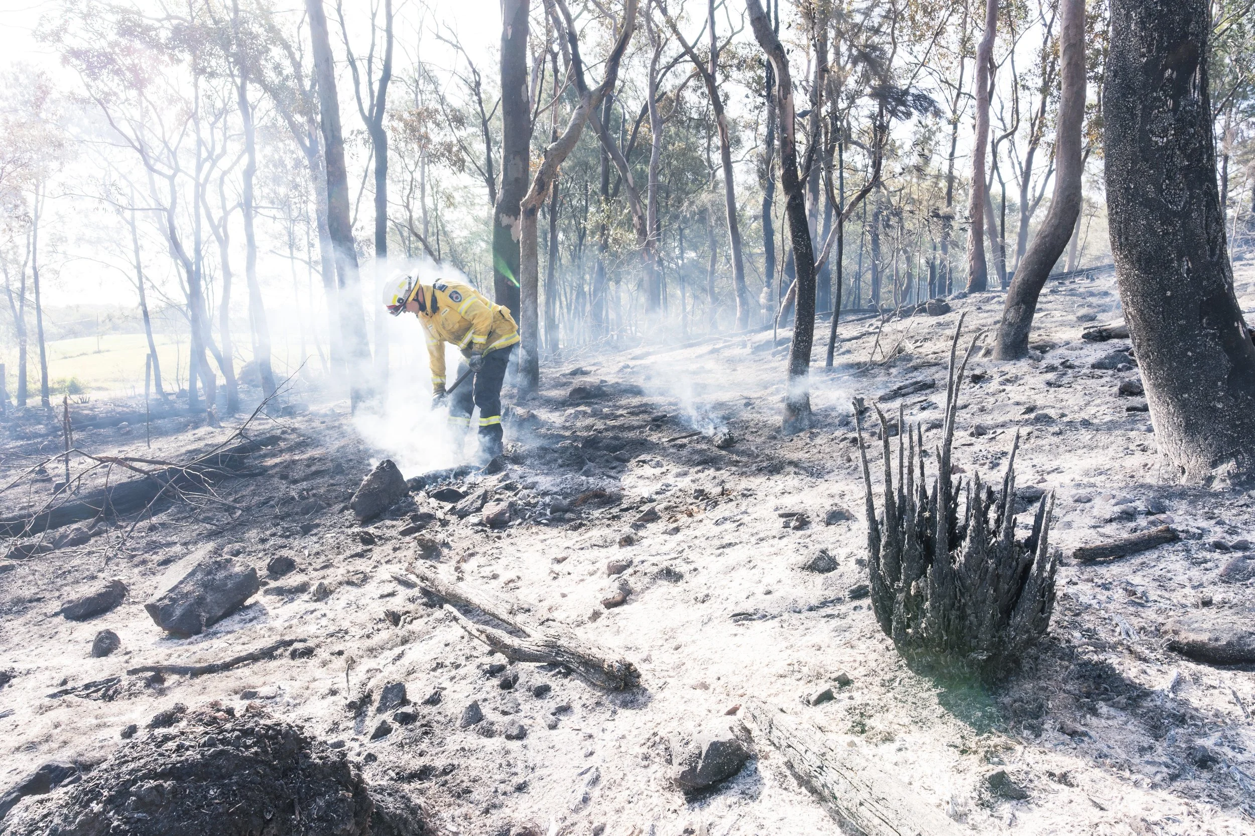 Rural Fire Service: clearing up after a hazard reduction burn