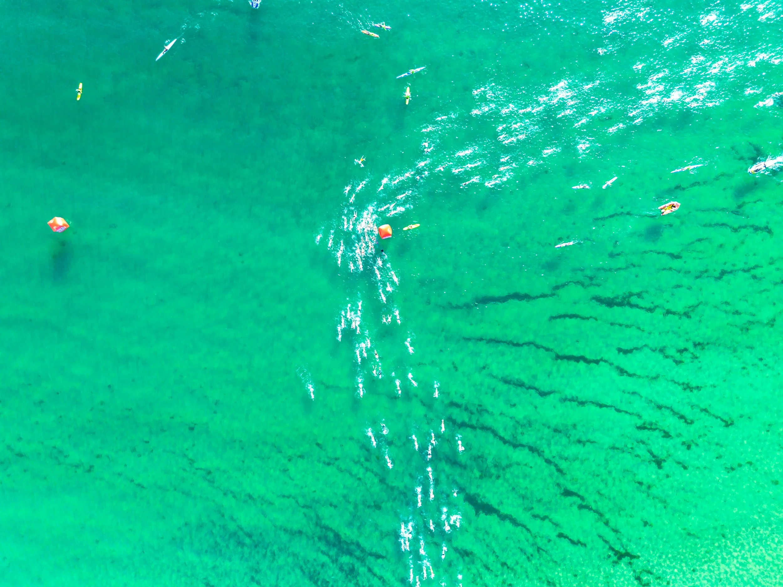 Cole Classic Official: 1k Turn