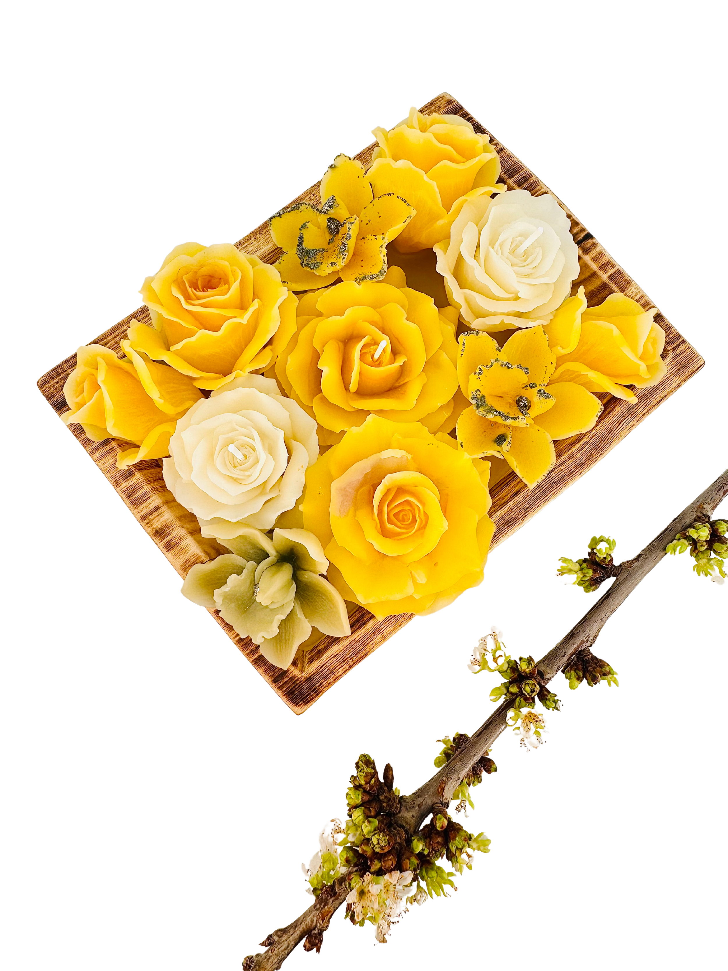 38d12778-c0ba-4b87-ac36-87ae063ed7d4.png