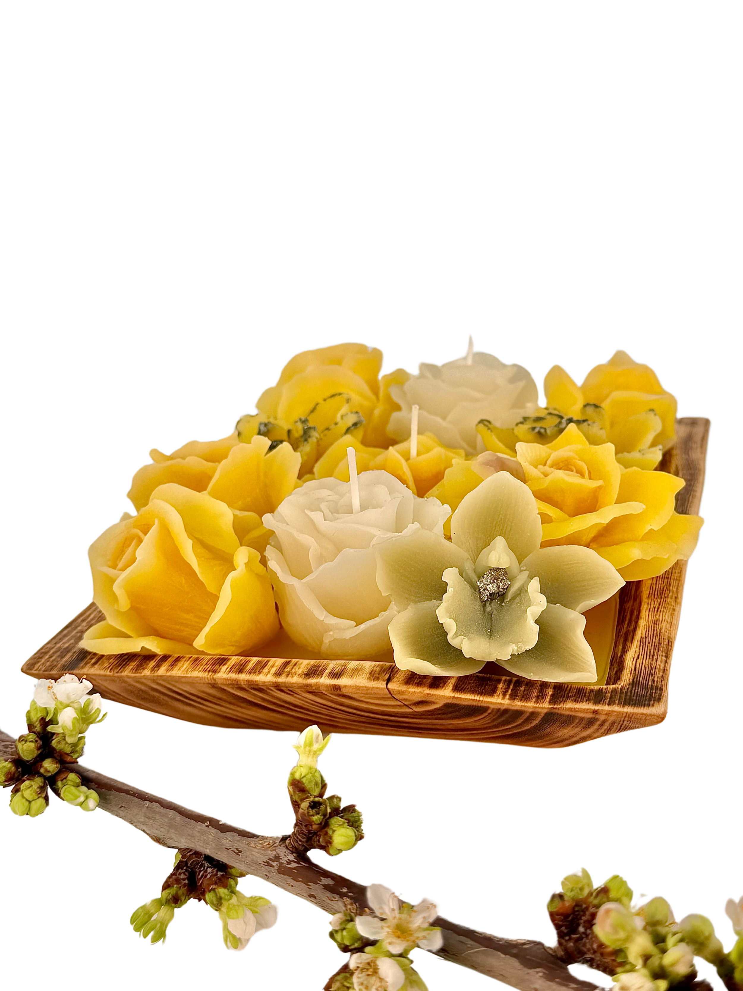 81f55143-3d7a-4efb-8fa6-1cbd4e94256e.png